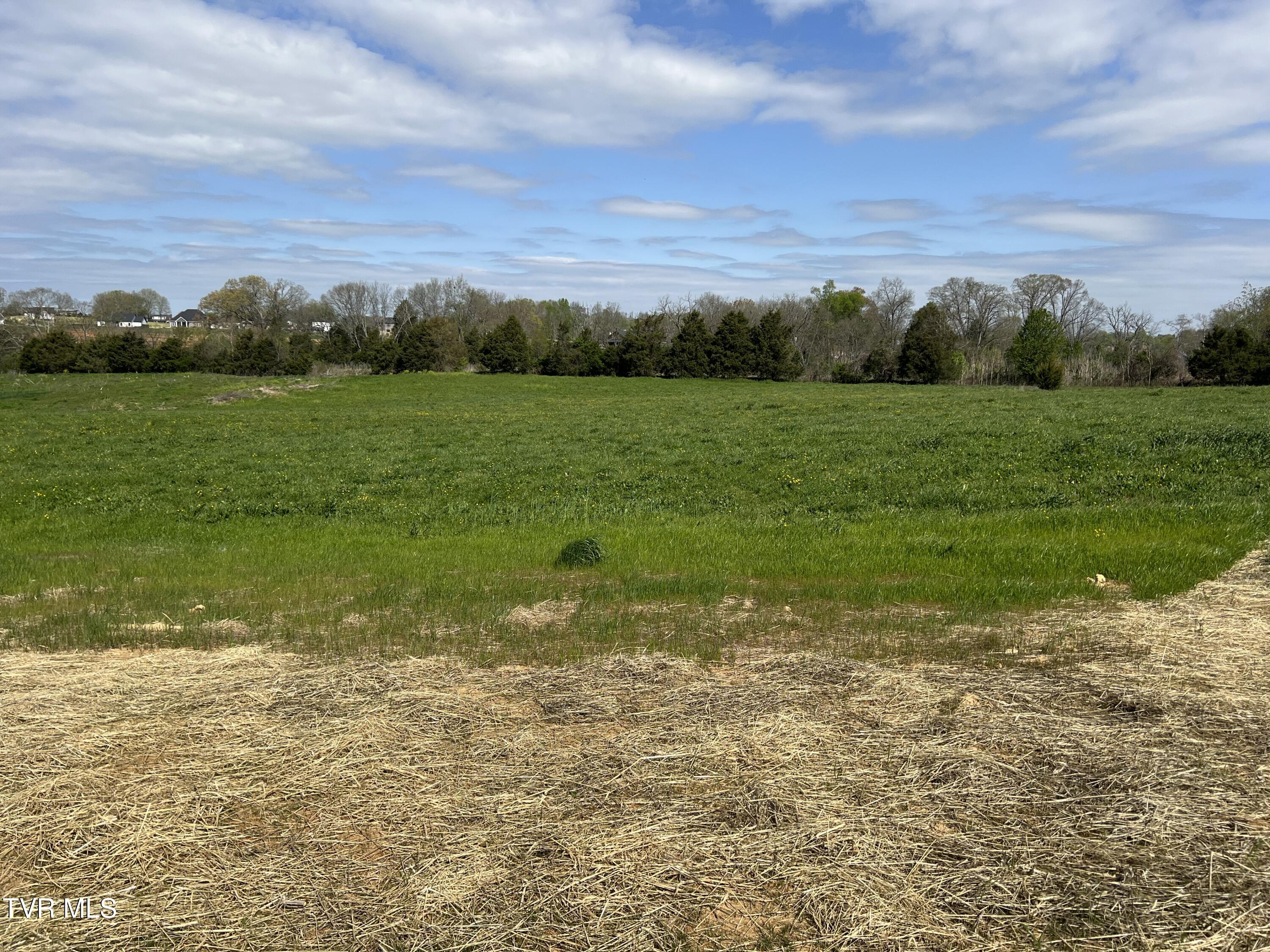 7450 Wolfe Ridge Court, Piney Flats, Tennessee image 6