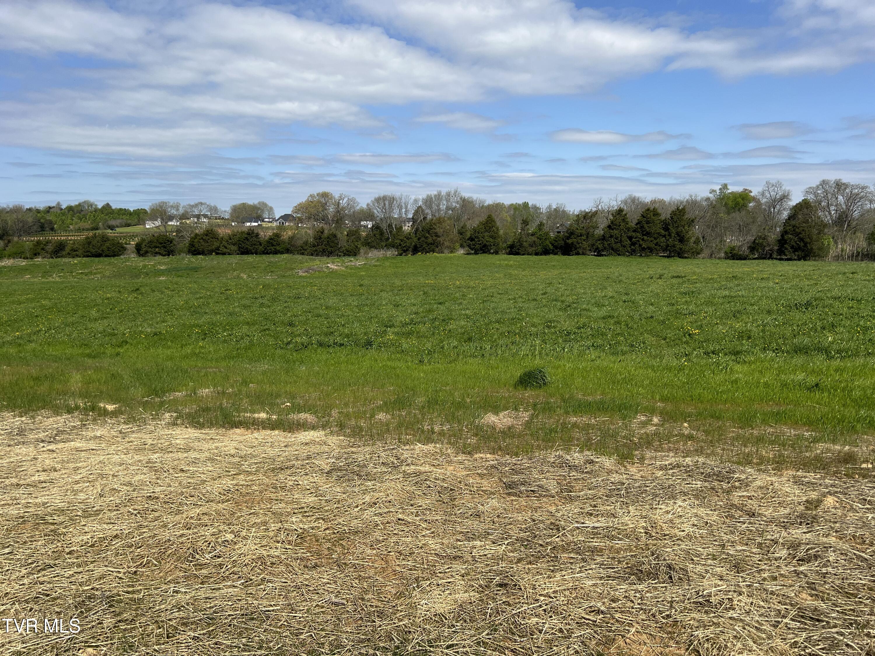 7450 Wolfe Ridge Court, Piney Flats, Tennessee image 4