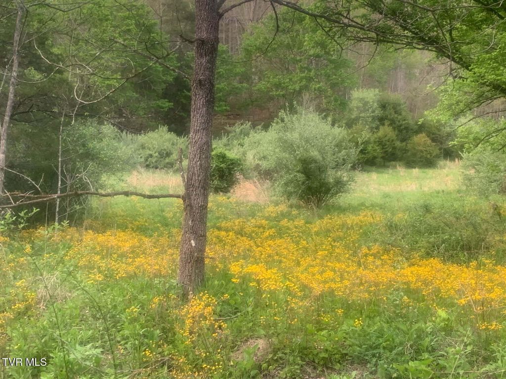 Photo of Tbd Osborne Ridge Road, Dungannon, VA 24245 (MLS # 9994295)