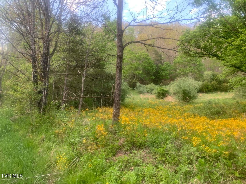 Photo of Tbd Osborne Ridge Road, Dungannon, VA 24245 (MLS # 9994295)