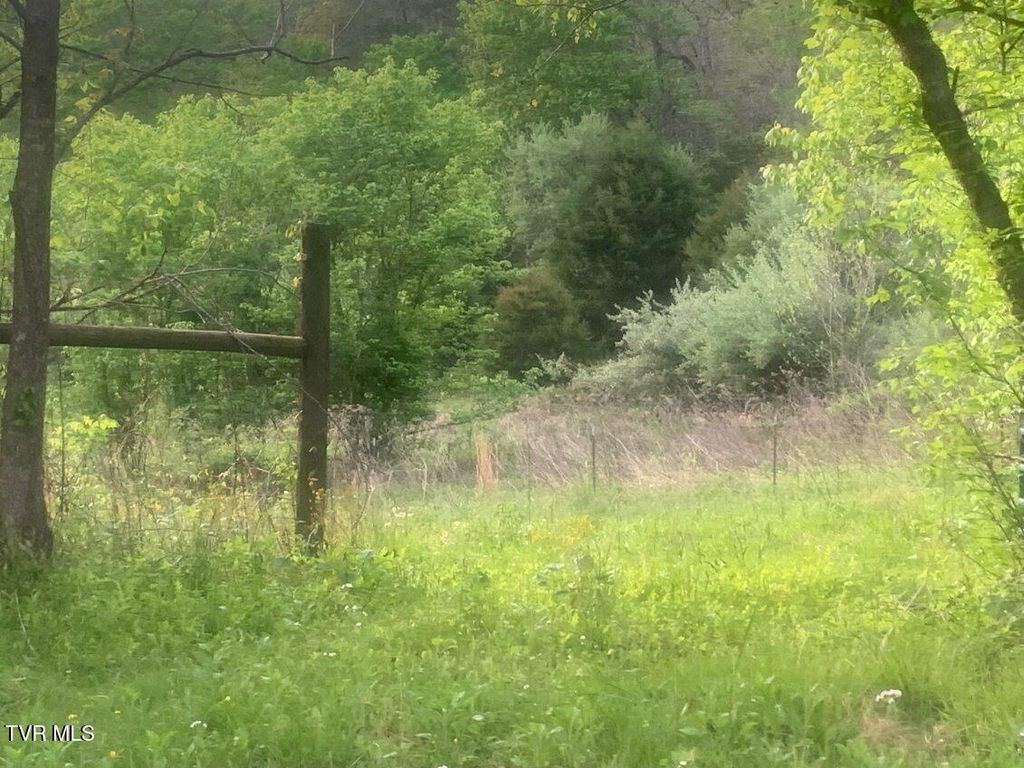 Photo of Tbd Osborne Ridge Road, Dungannon, VA 24245 (MLS # 9994295)