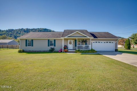 Photo of 171 Echo Drive, Elizabethton, TN 37643 (MLS # 9989881)