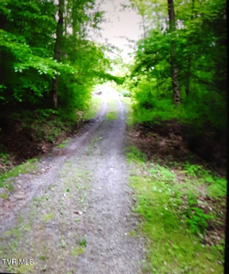699 Morrell Creek Lane, Bluff City, Tennessee image 2