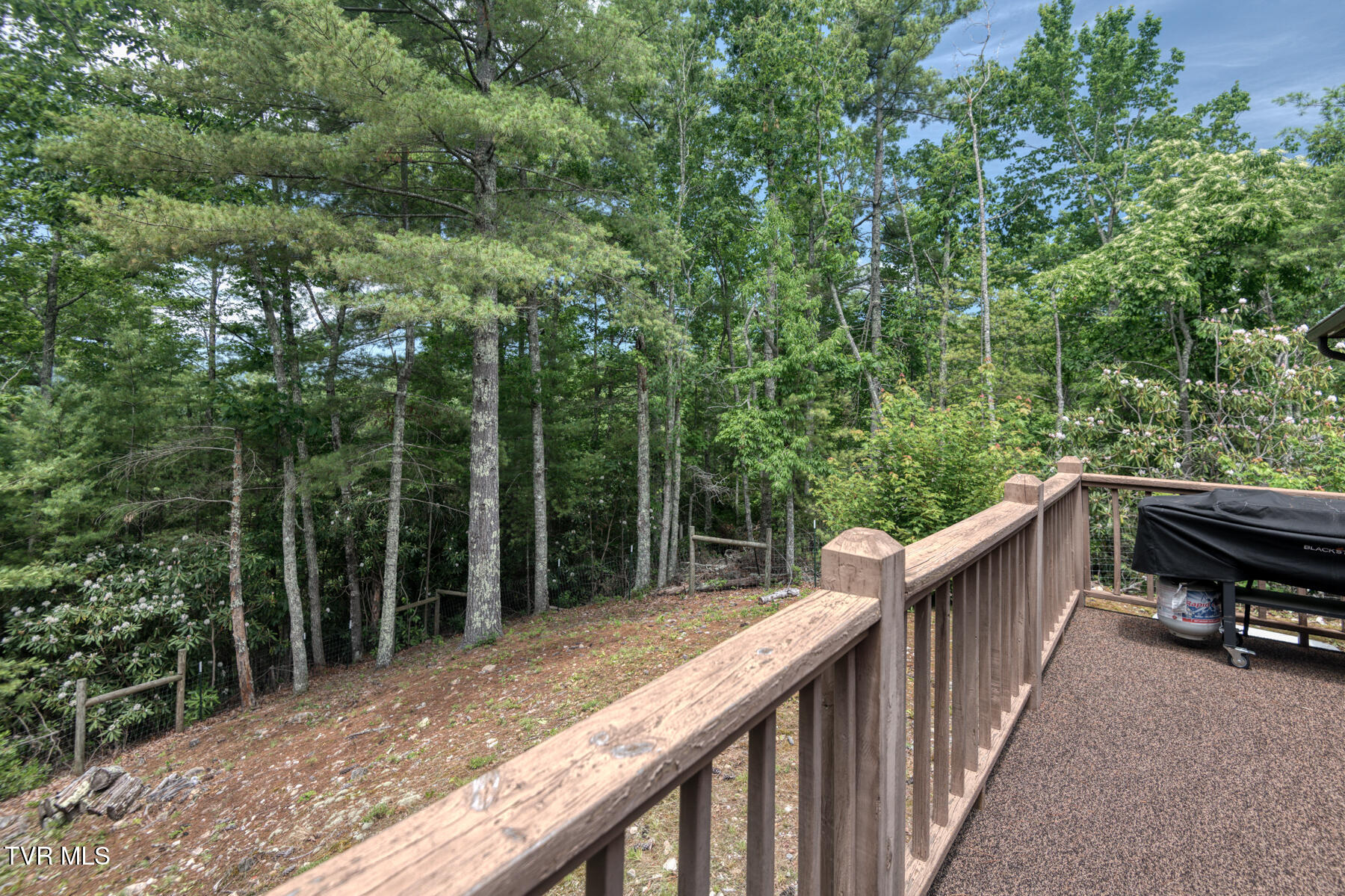 140 Apache Trail, Mountain City, Tennessee image 6