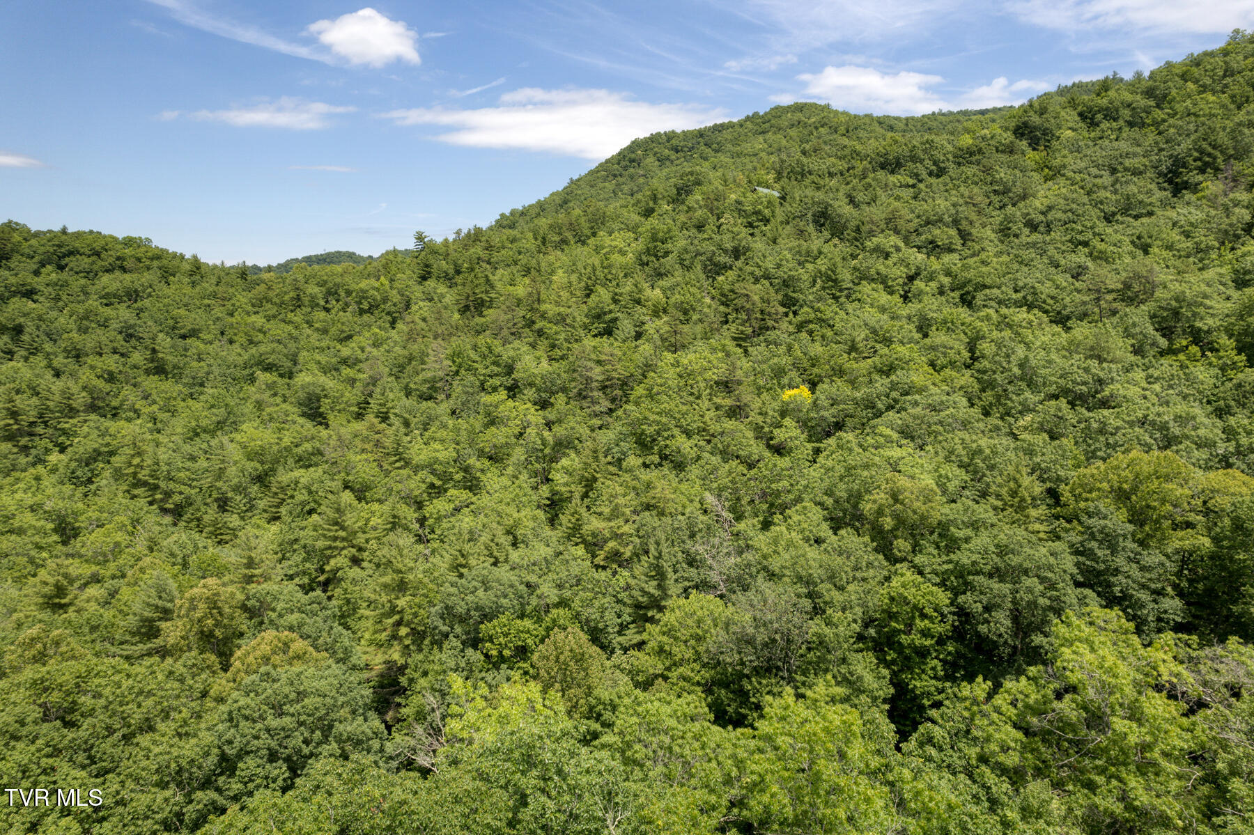 140 Apache Trail, Mountain City, Tennessee image 39