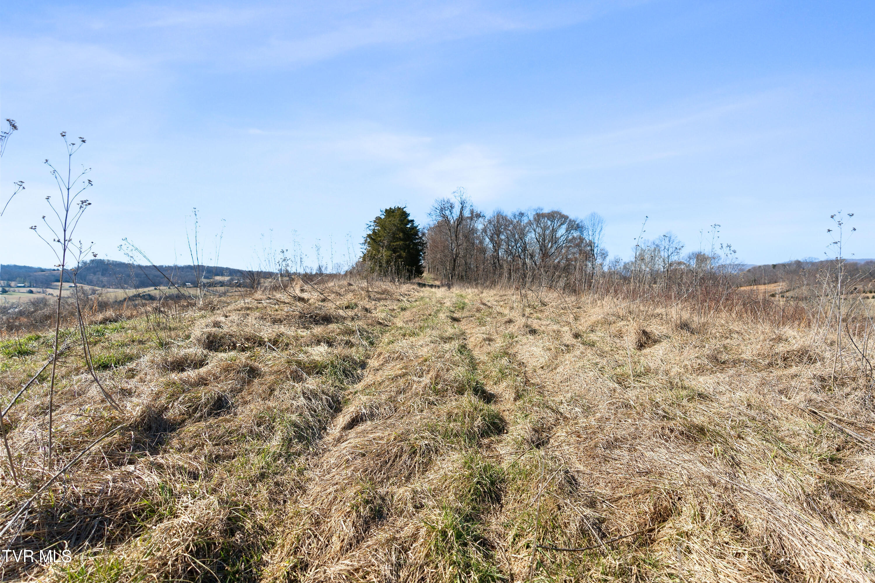 Tbd Clear Creek Road, Chuckey, Tennessee image 40