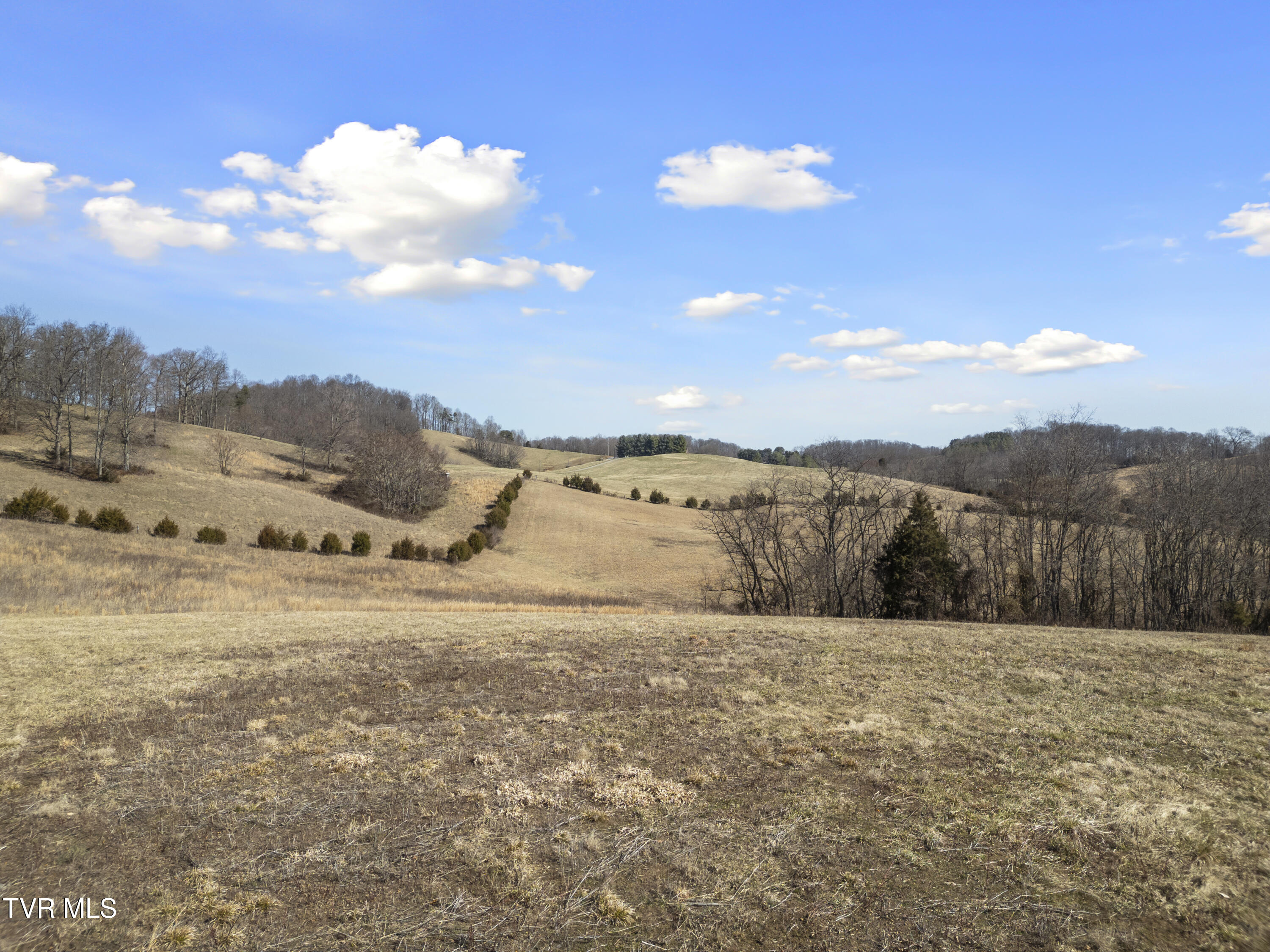 Tbd Clear Creek Road, Chuckey, Tennessee image 23