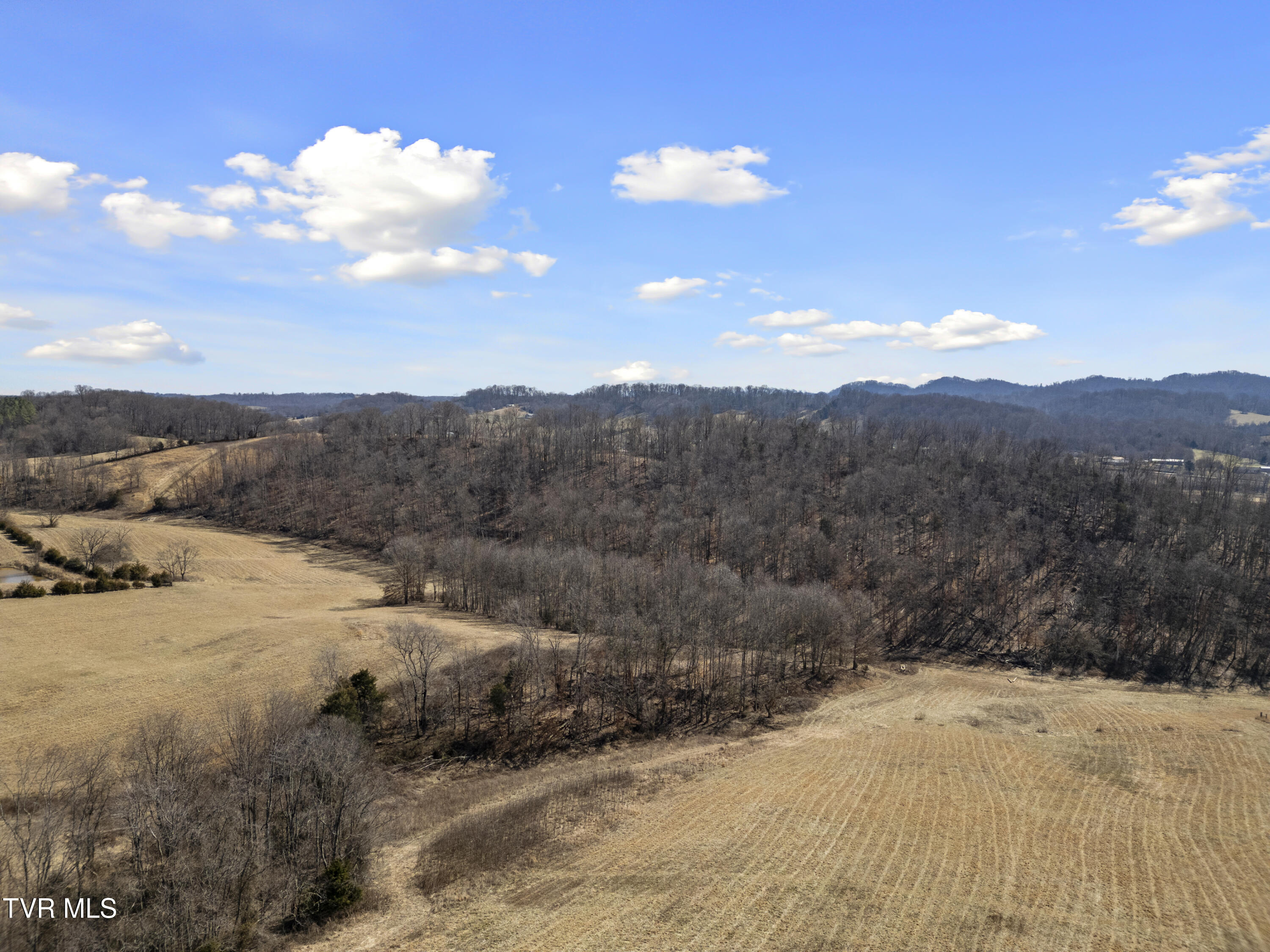 Tbd Clear Creek Road, Chuckey, Tennessee image 25