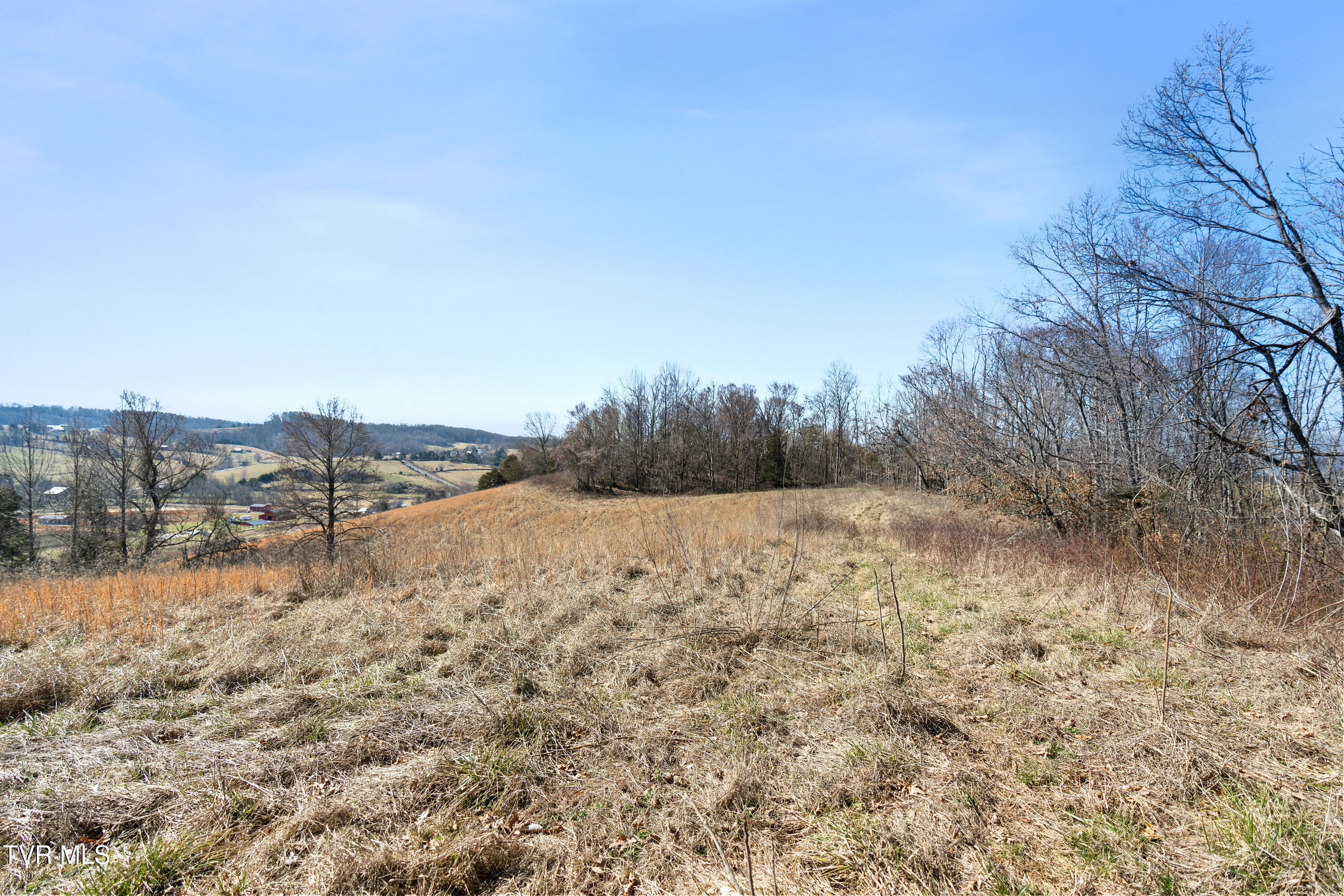 Tbd Clear Creek Road, Chuckey, Tennessee image 43