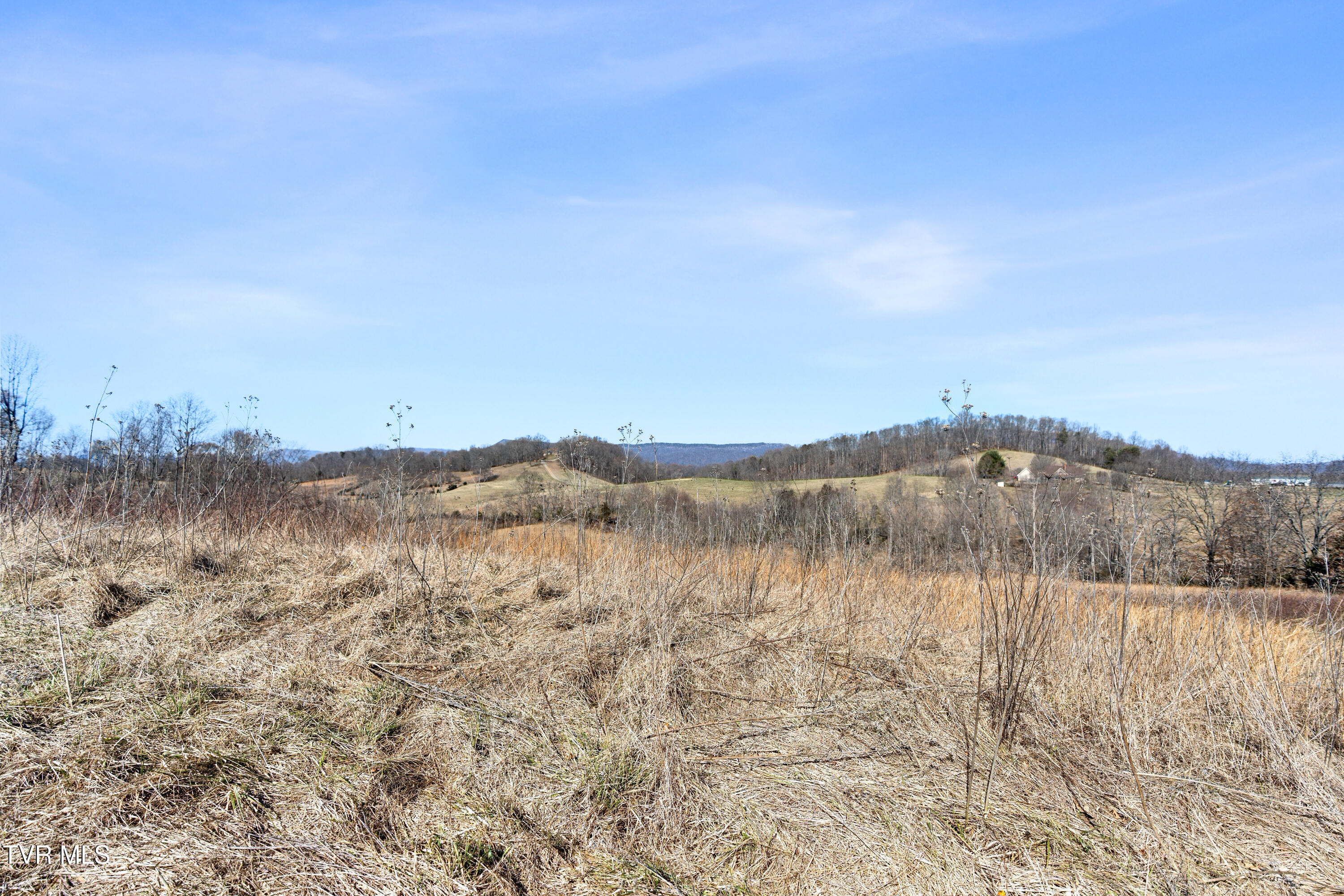 Tbd Clear Creek Road, Chuckey, Tennessee image 41
