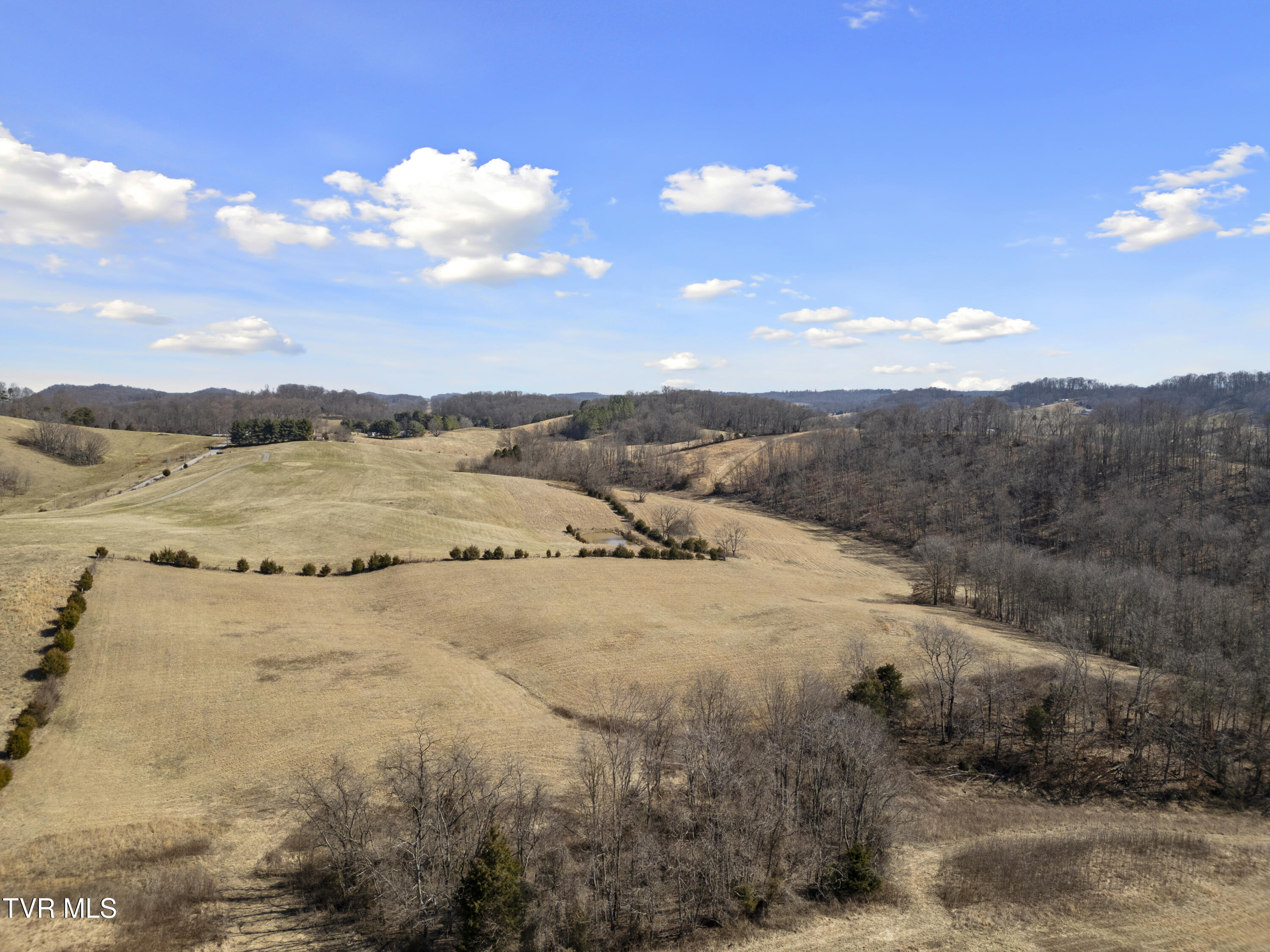 Tbd Clear Creek Road, Chuckey, Tennessee image 30