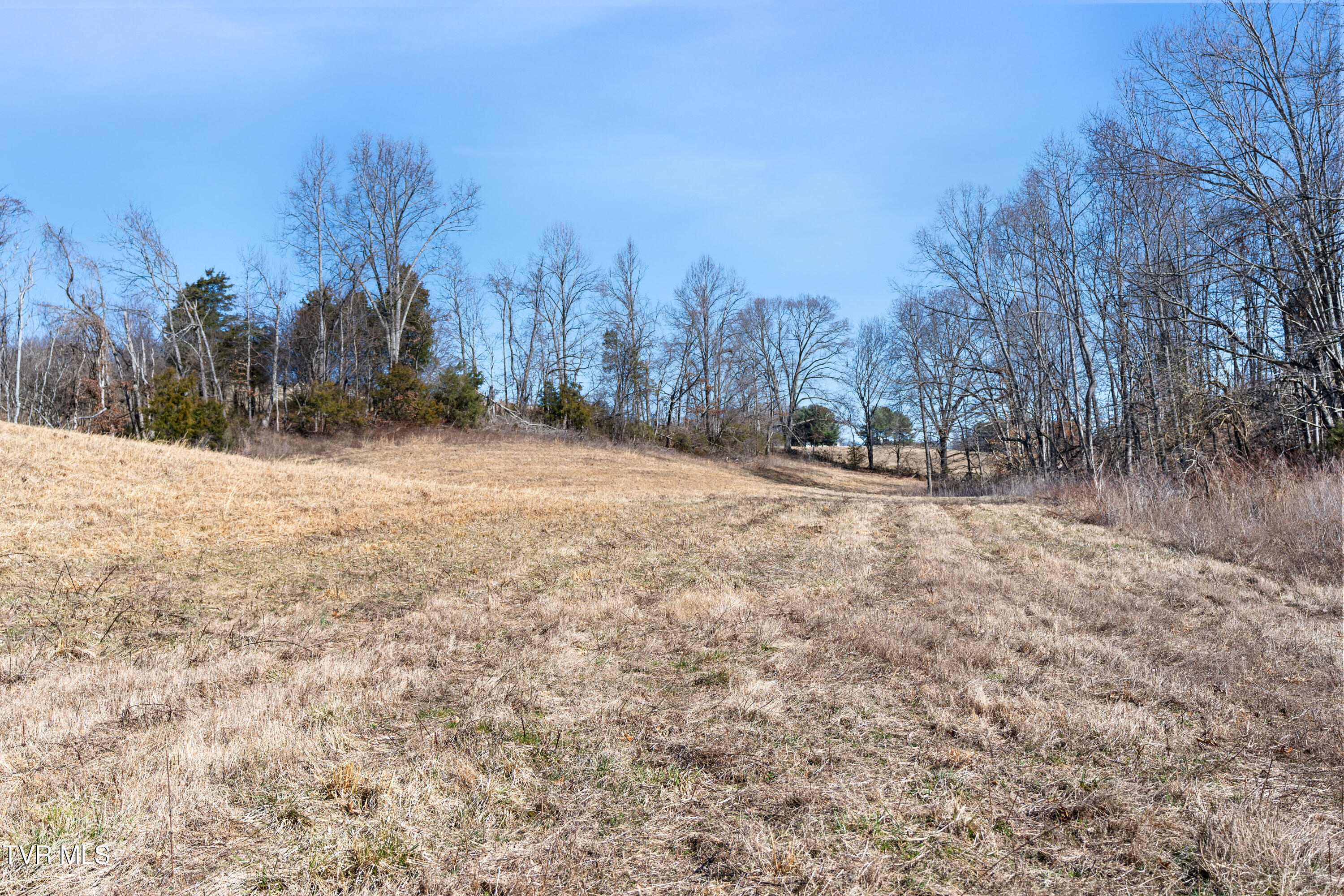 Tbd Clear Creek Road, Chuckey, Tennessee image 5