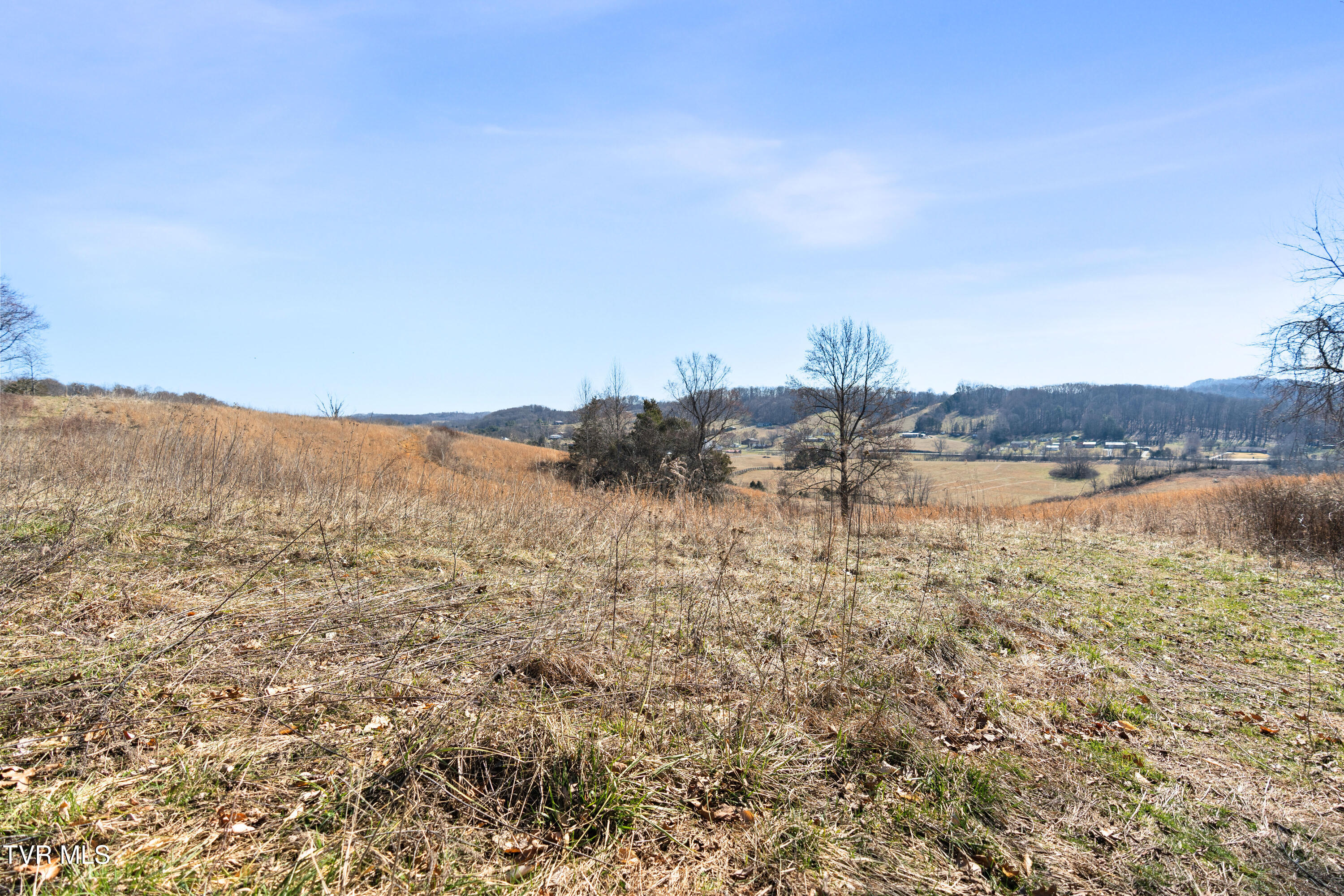 Tbd Clear Creek Road, Chuckey, Tennessee image 6