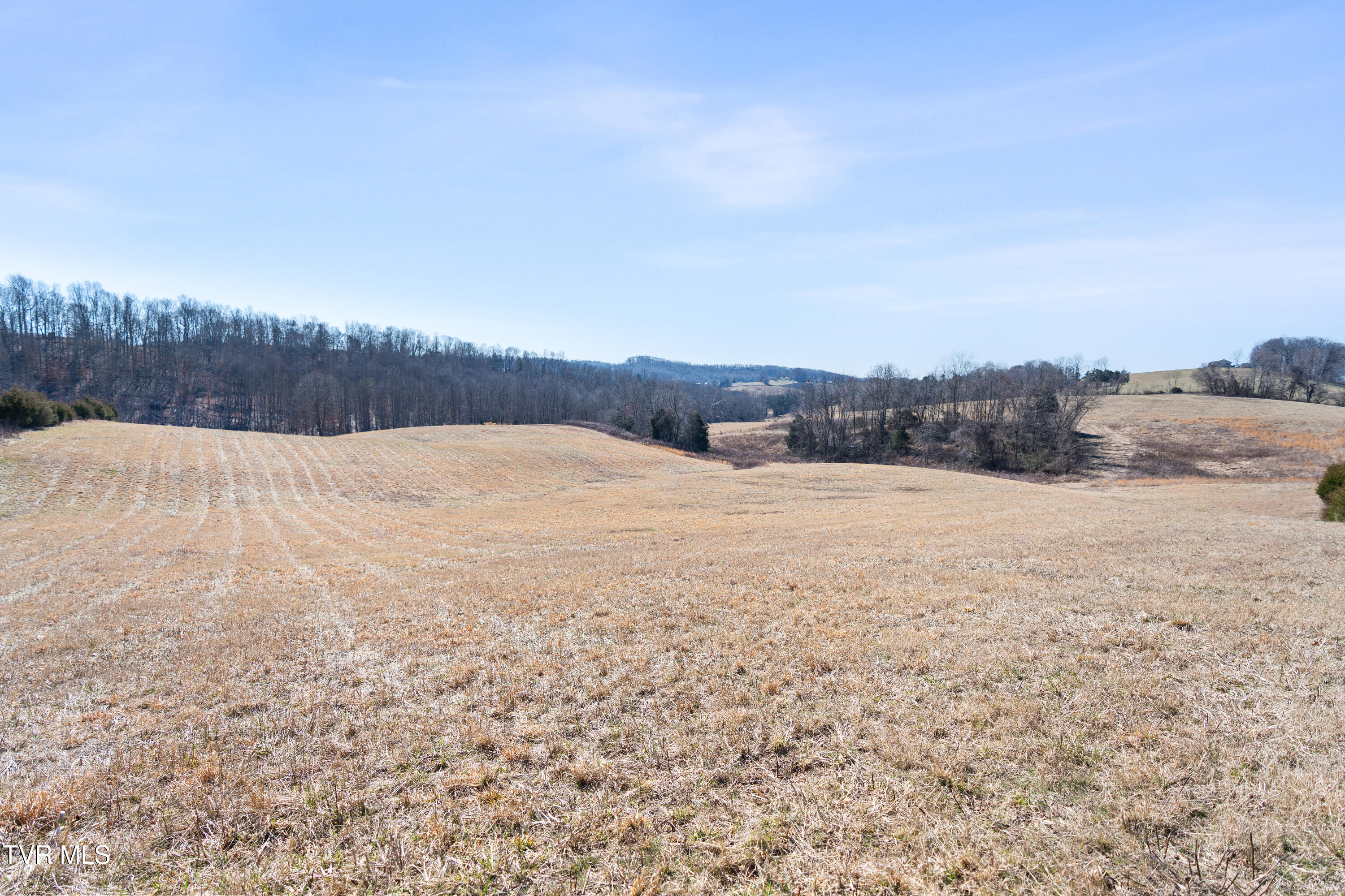 Tbd Clear Creek Road, Chuckey, Tennessee image 44