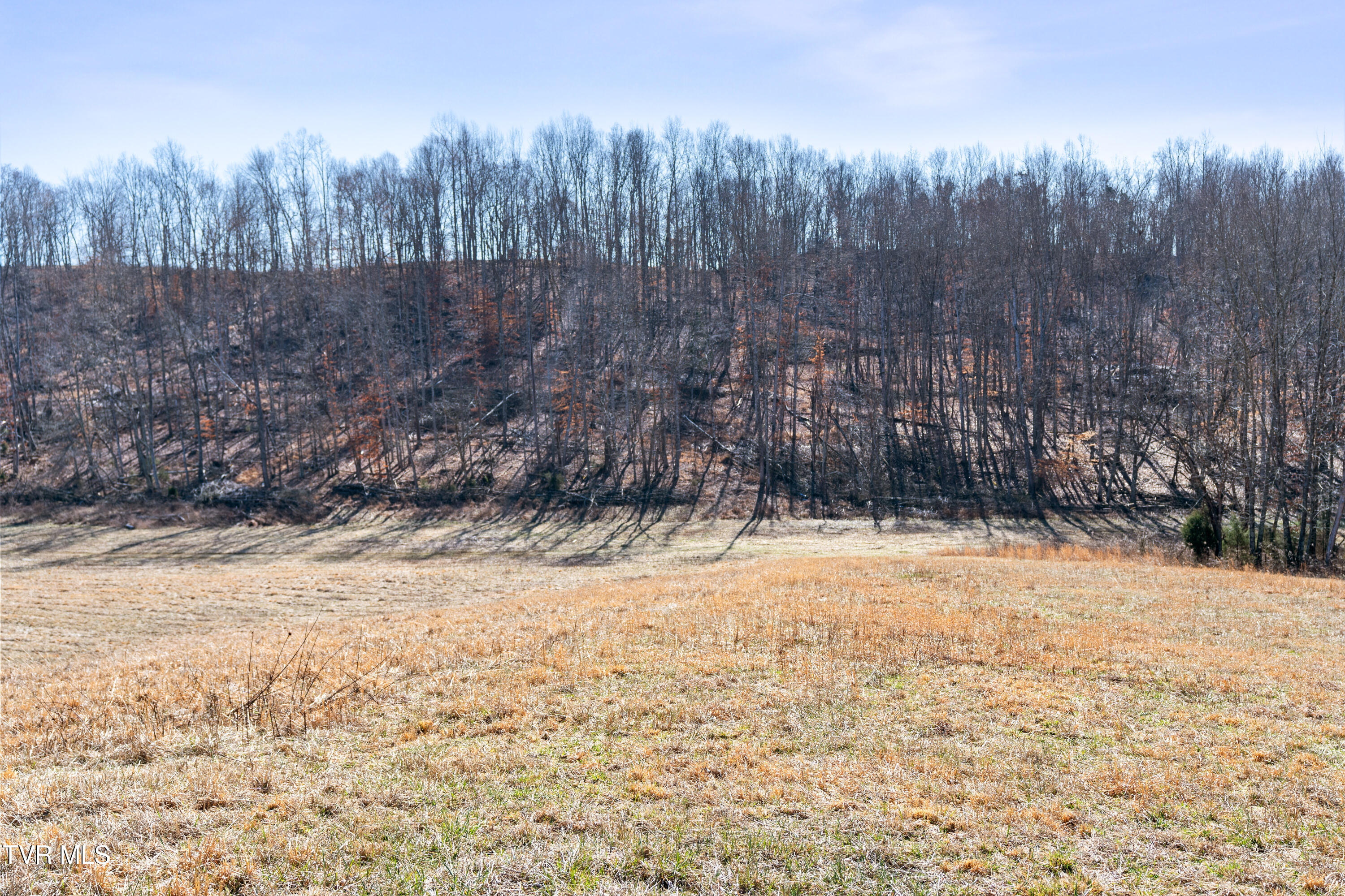 Tbd Clear Creek Road, Chuckey, Tennessee image 22
