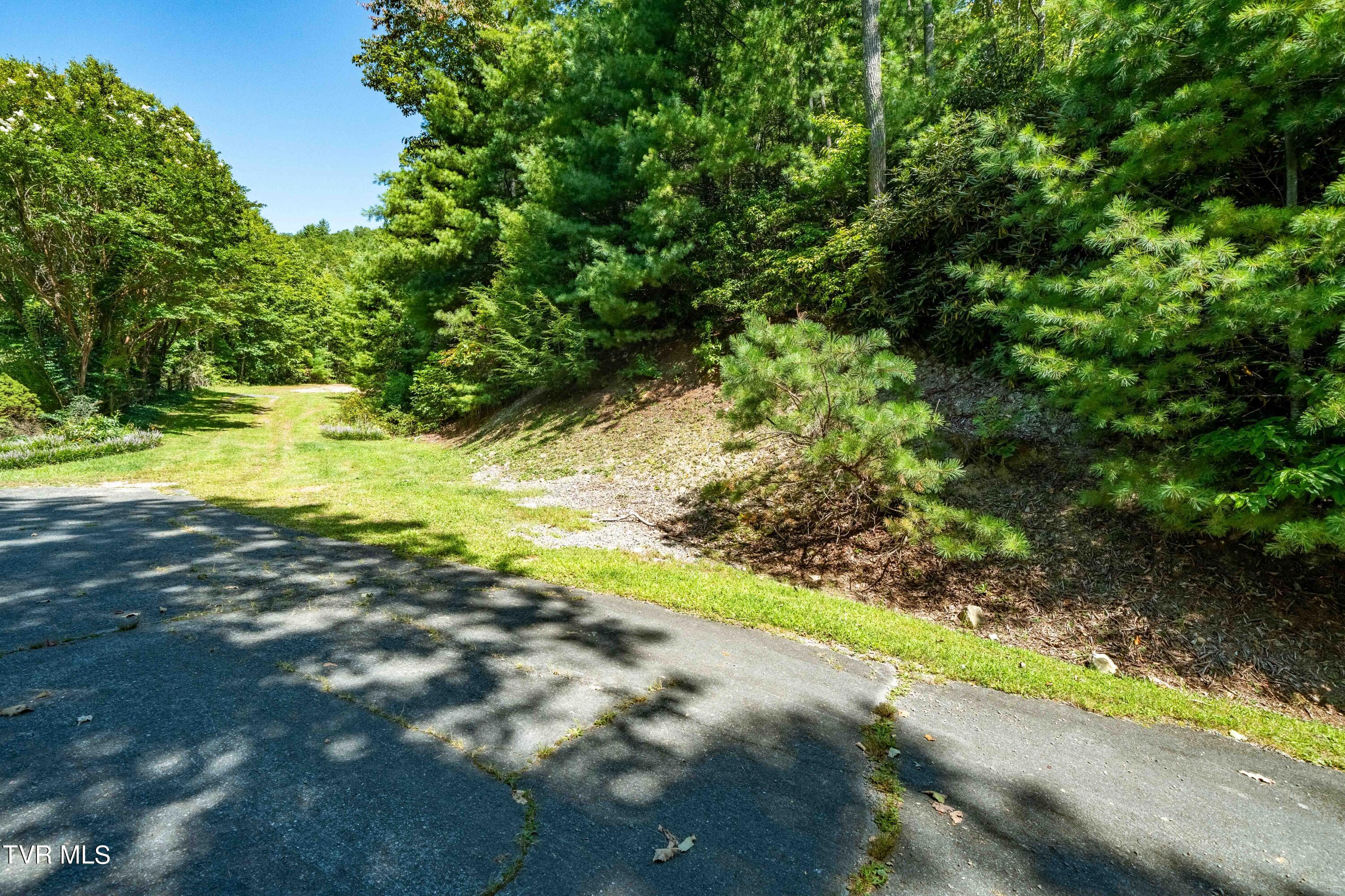 000 Ivywood Lane, Mountain City, Tennessee image 1