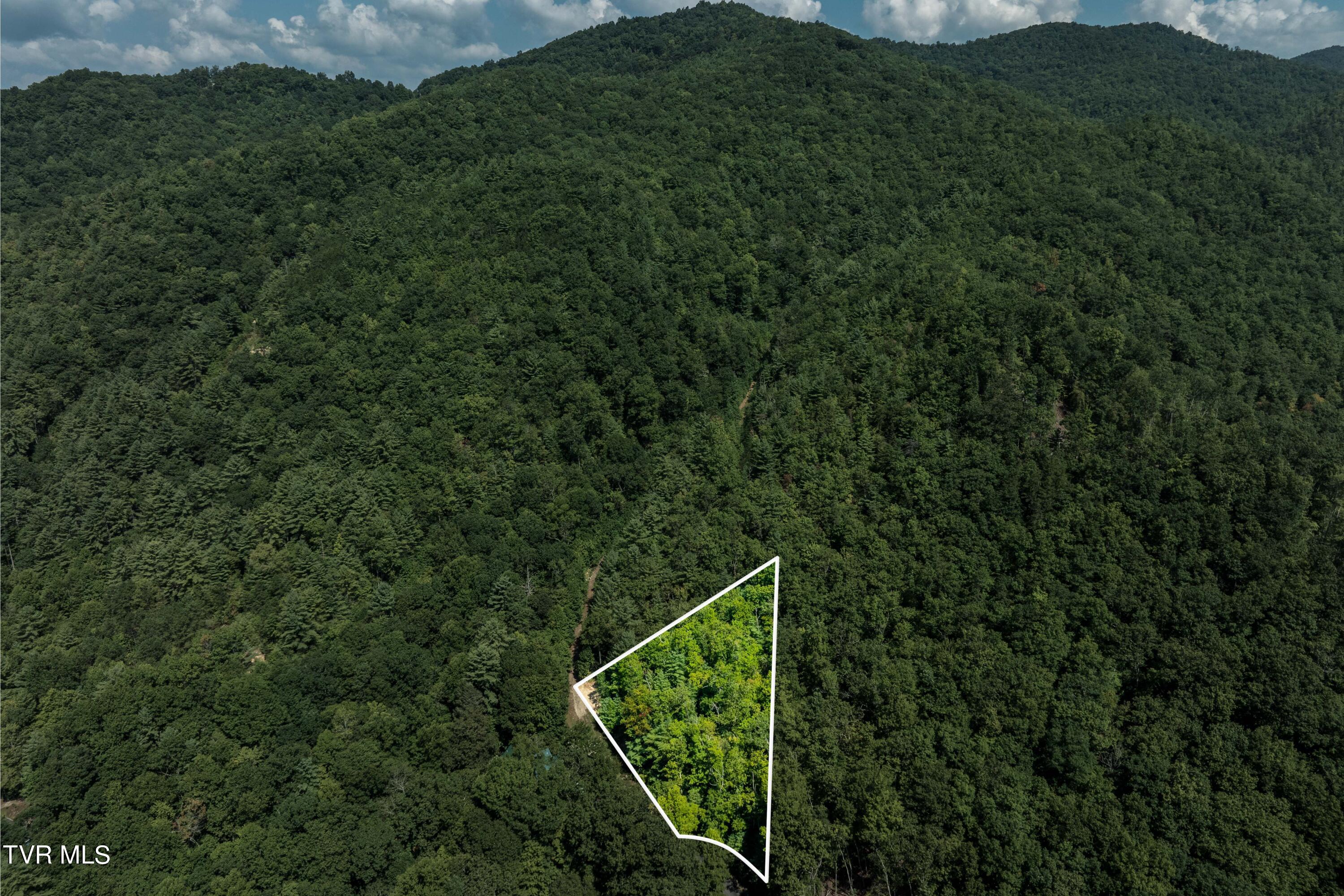 000 Ivywood Lane, Mountain City, Tennessee image 15