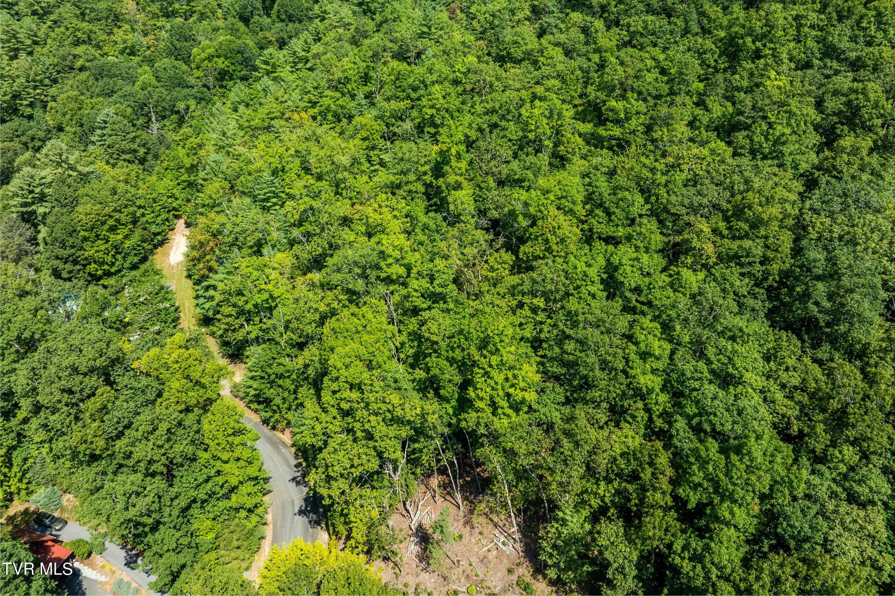 000 Ivywood Lane, Mountain City, Tennessee image 13
