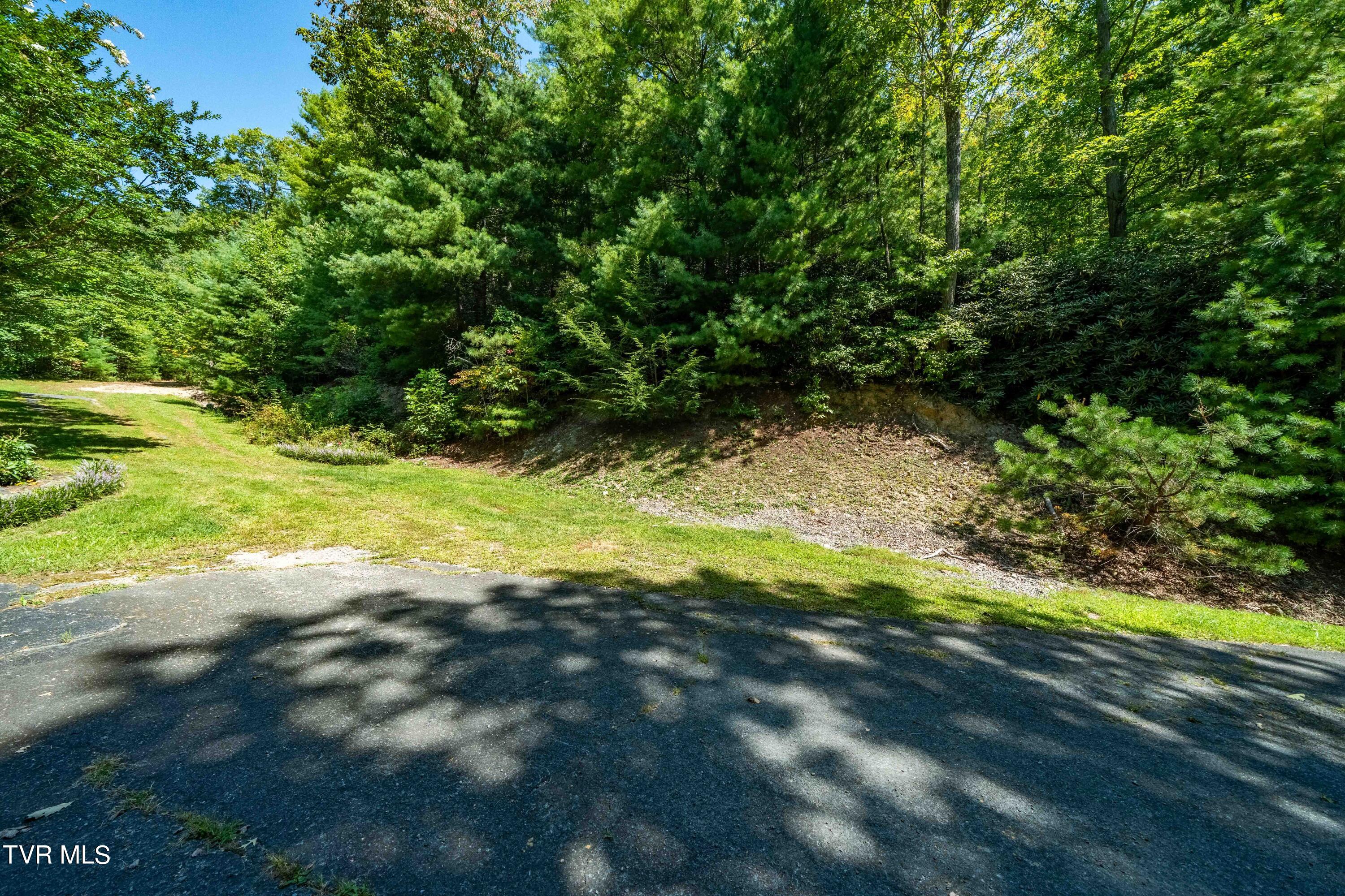 000 Ivywood Lane, Mountain City, Tennessee image 2