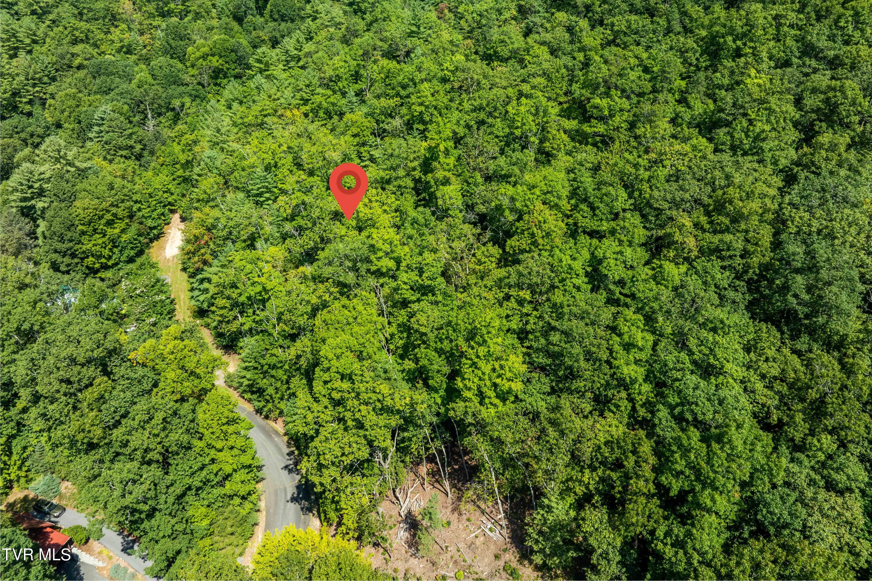 000 Ivywood Lane, Mountain City, Tennessee image 32