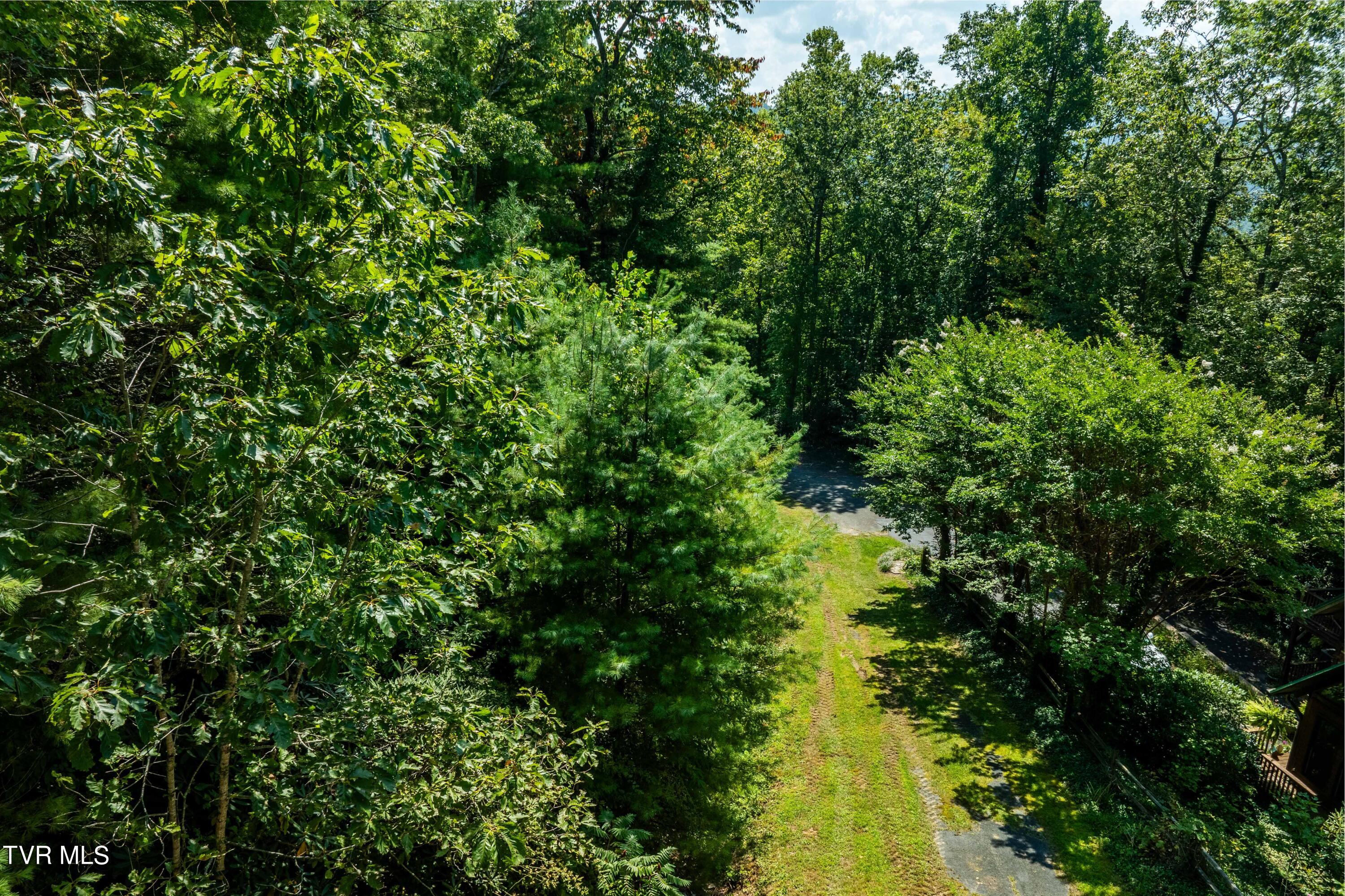 000 Ivywood Lane, Mountain City, Tennessee image 12