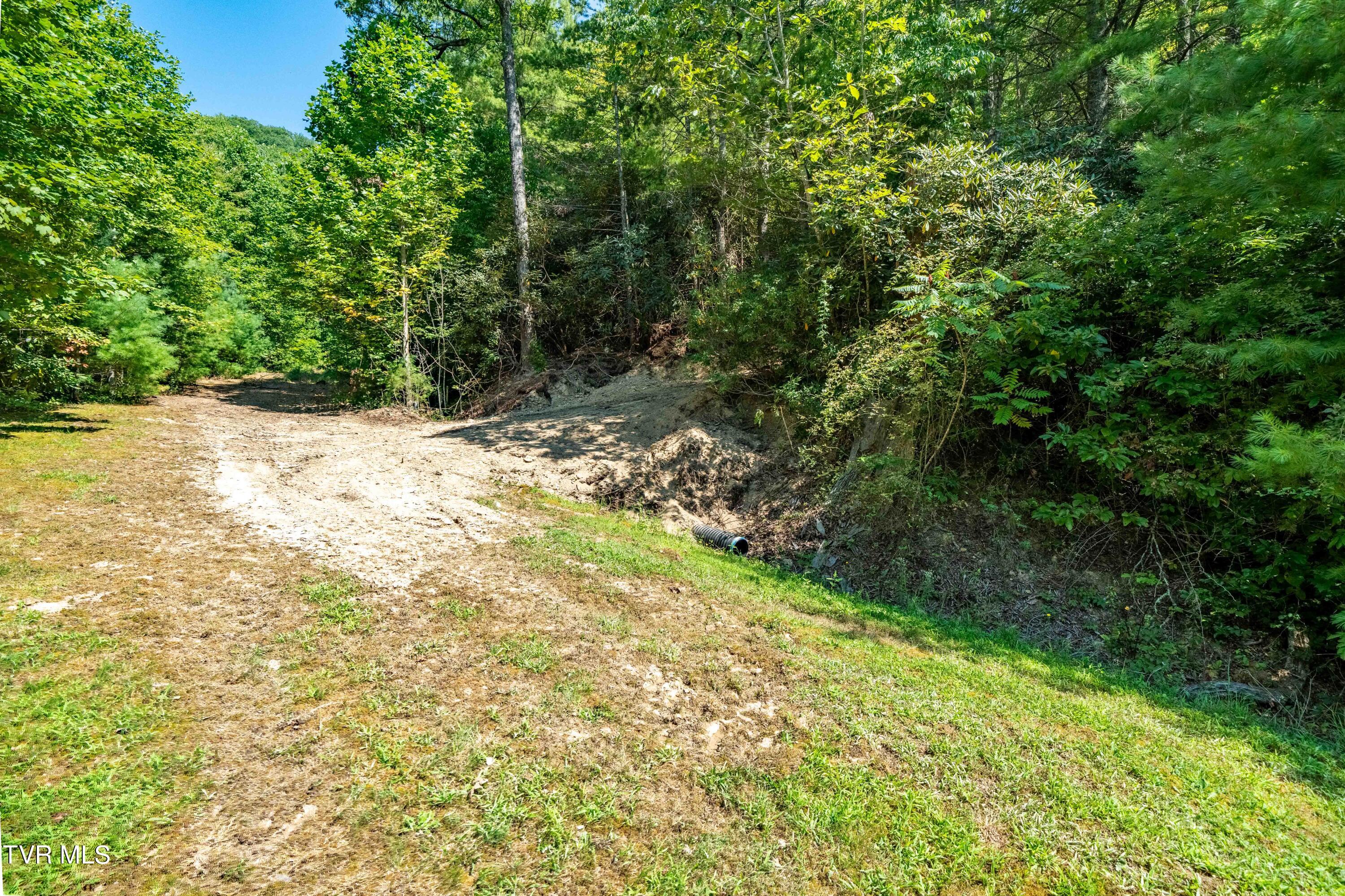 000 Ivywood Lane, Mountain City, Tennessee image 5