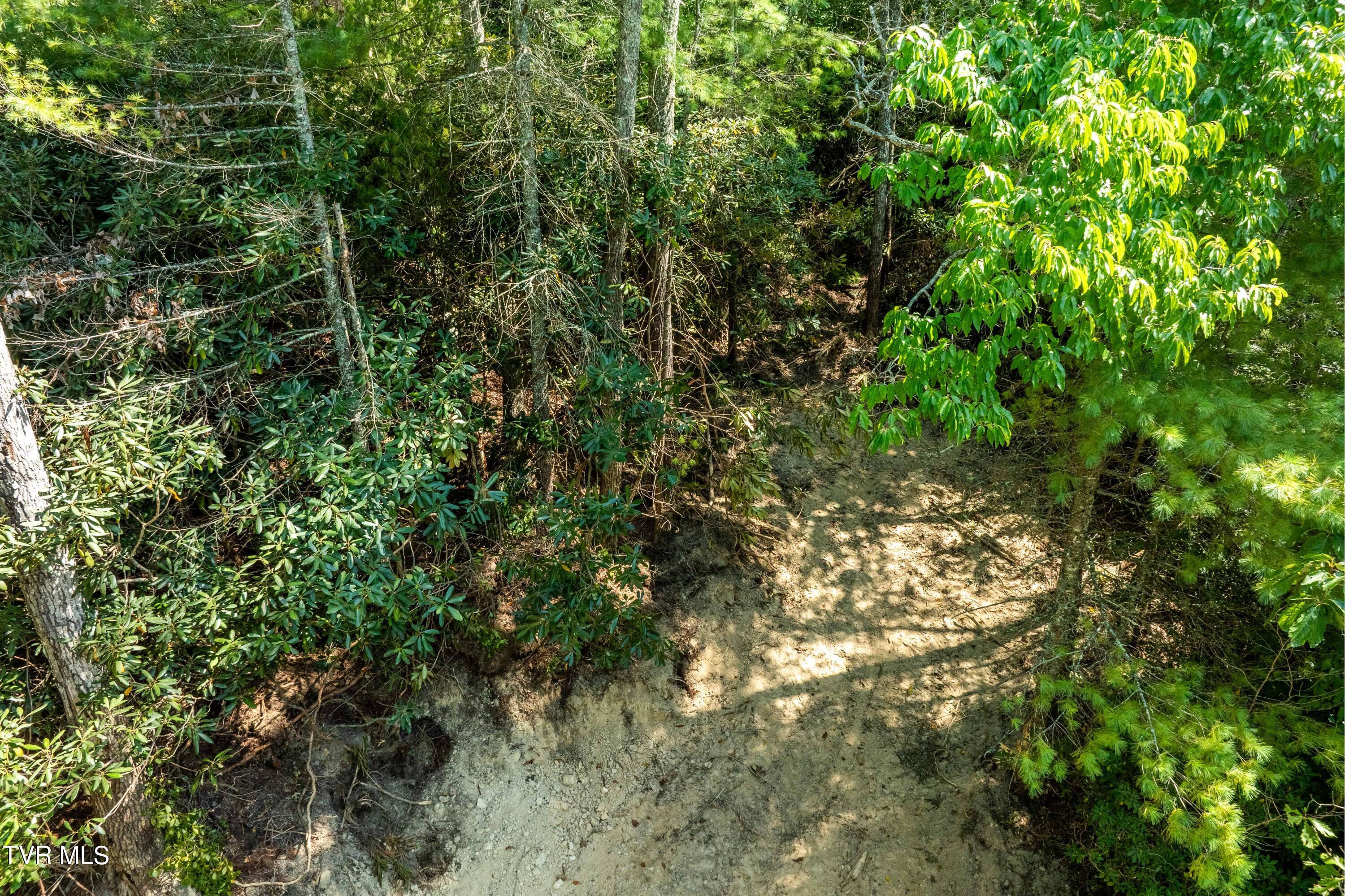 000 Ivywood Lane, Mountain City, Tennessee image 9