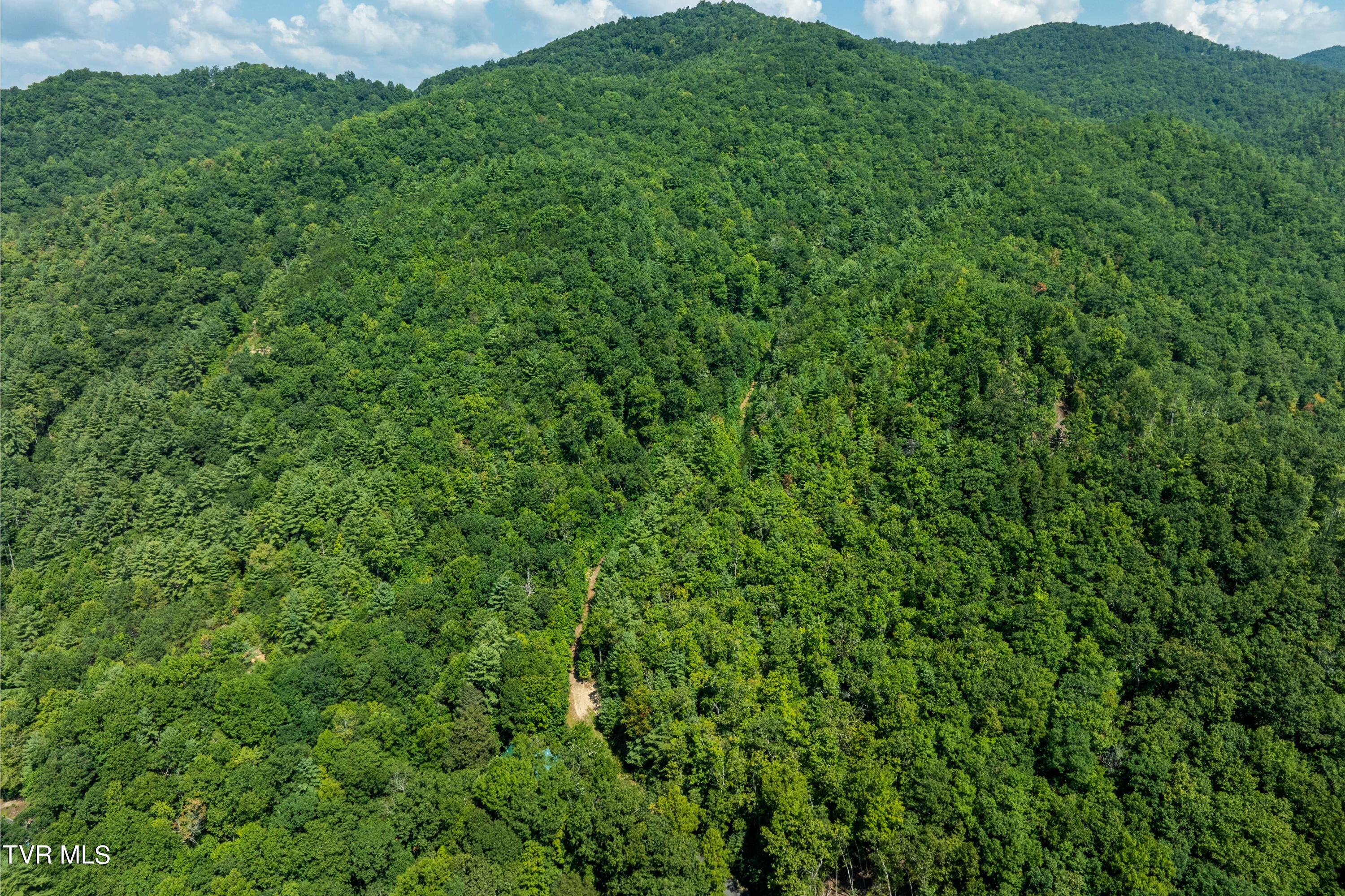 000 Ivywood Lane, Mountain City, Tennessee image 18