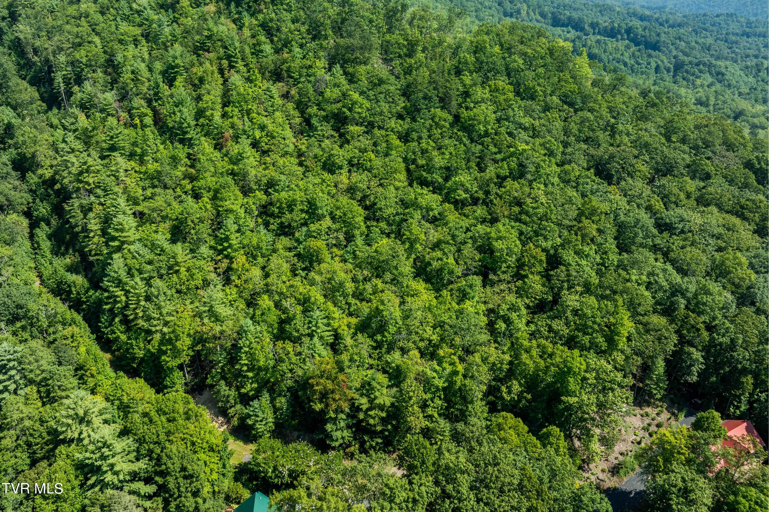 000 Ivywood Lane, Mountain City, Tennessee image 25