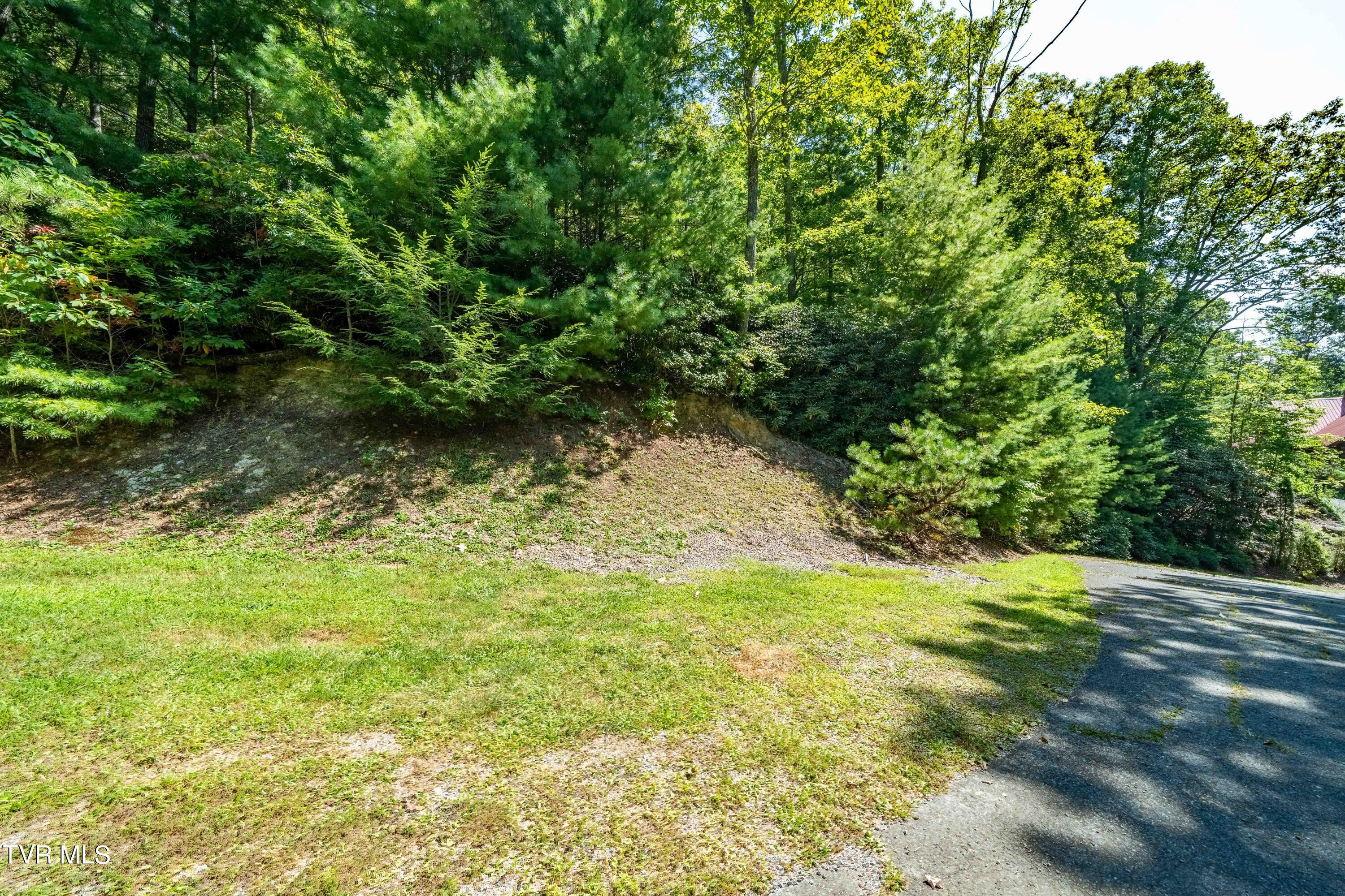 000 Ivywood Lane, Mountain City, Tennessee image 3