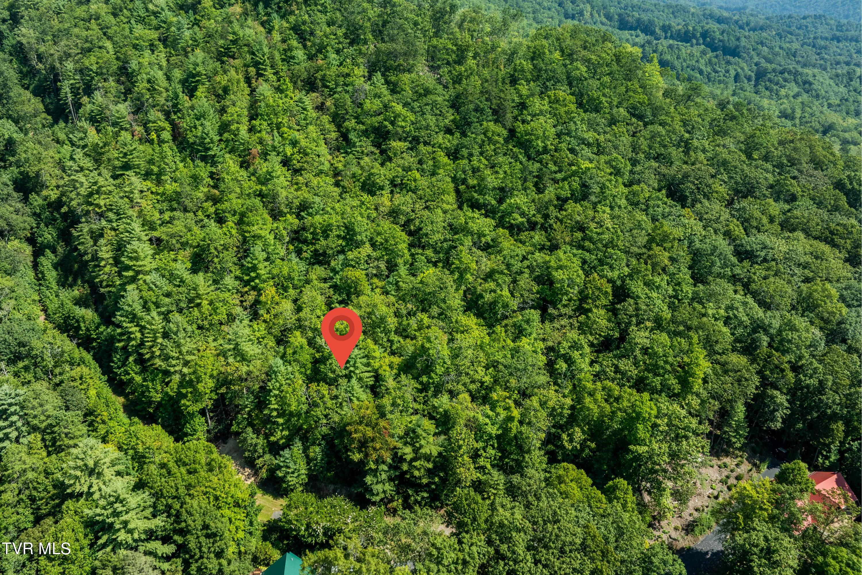 000 Ivywood Lane, Mountain City, Tennessee image 29