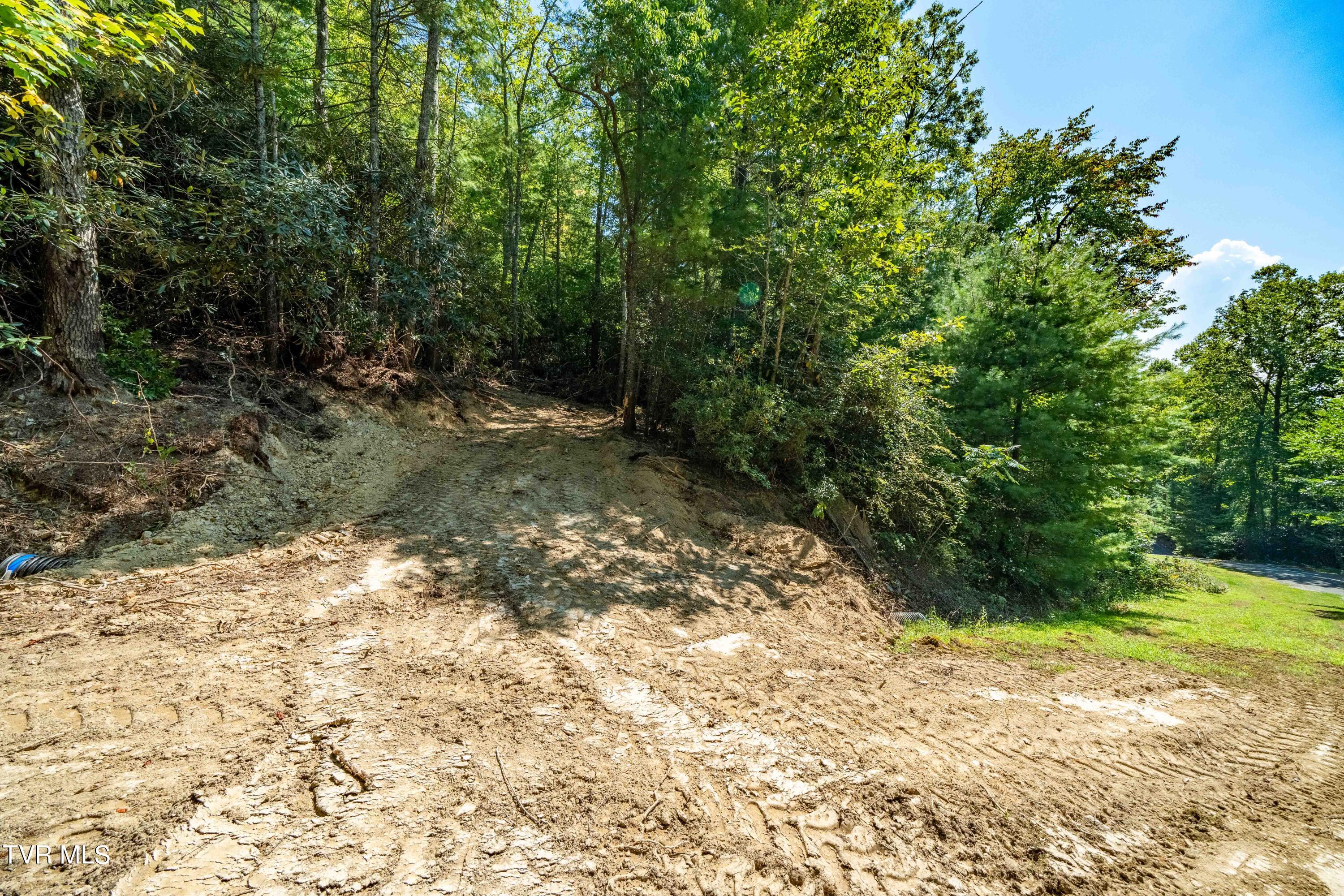 000 Ivywood Lane, Mountain City, Tennessee image 6