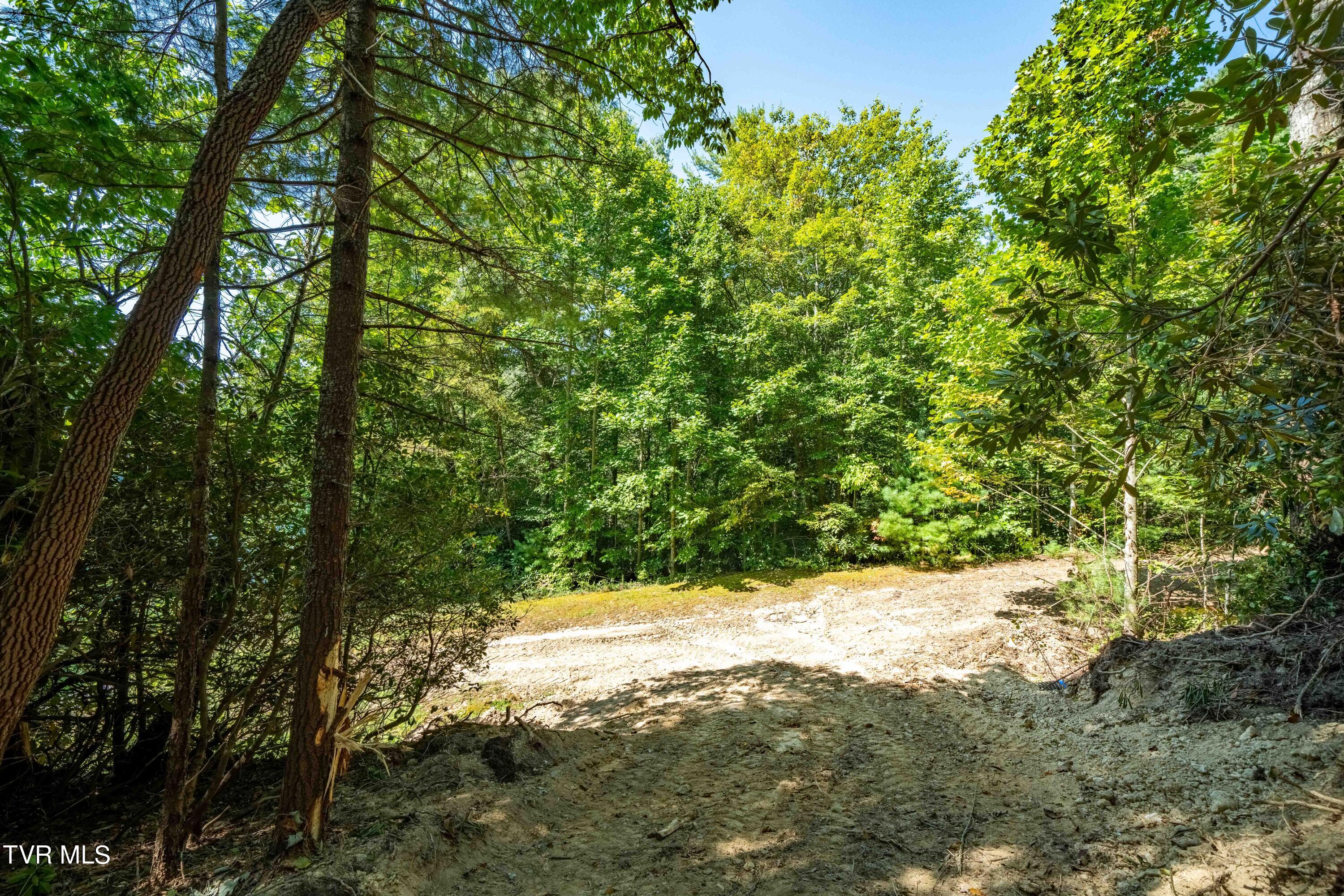 000 Ivywood Lane, Mountain City, Tennessee image 8
