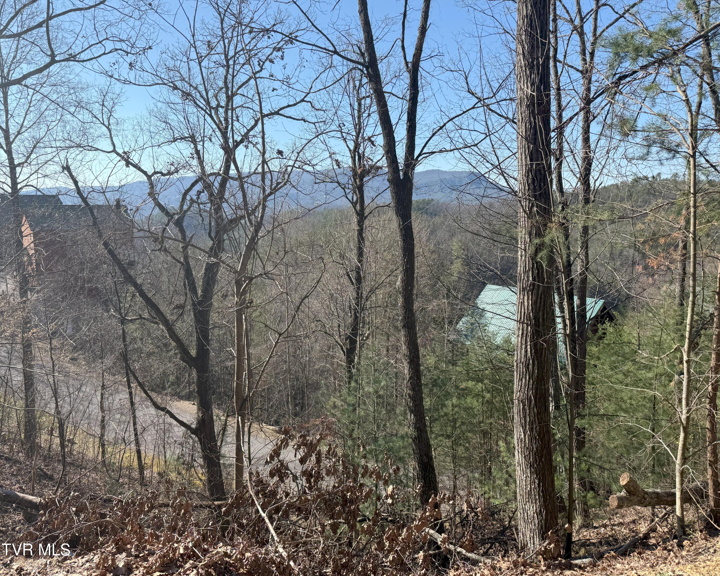 Lot 155r Black Bear Cub Way, Pigeon Forge, Tennessee image 1