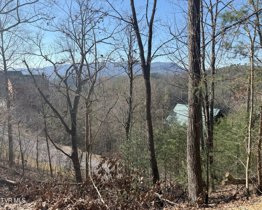 Photo of 155 Black Bear Cub Way, Pigeon Forge, TN 37863 (MLS # 9977830)