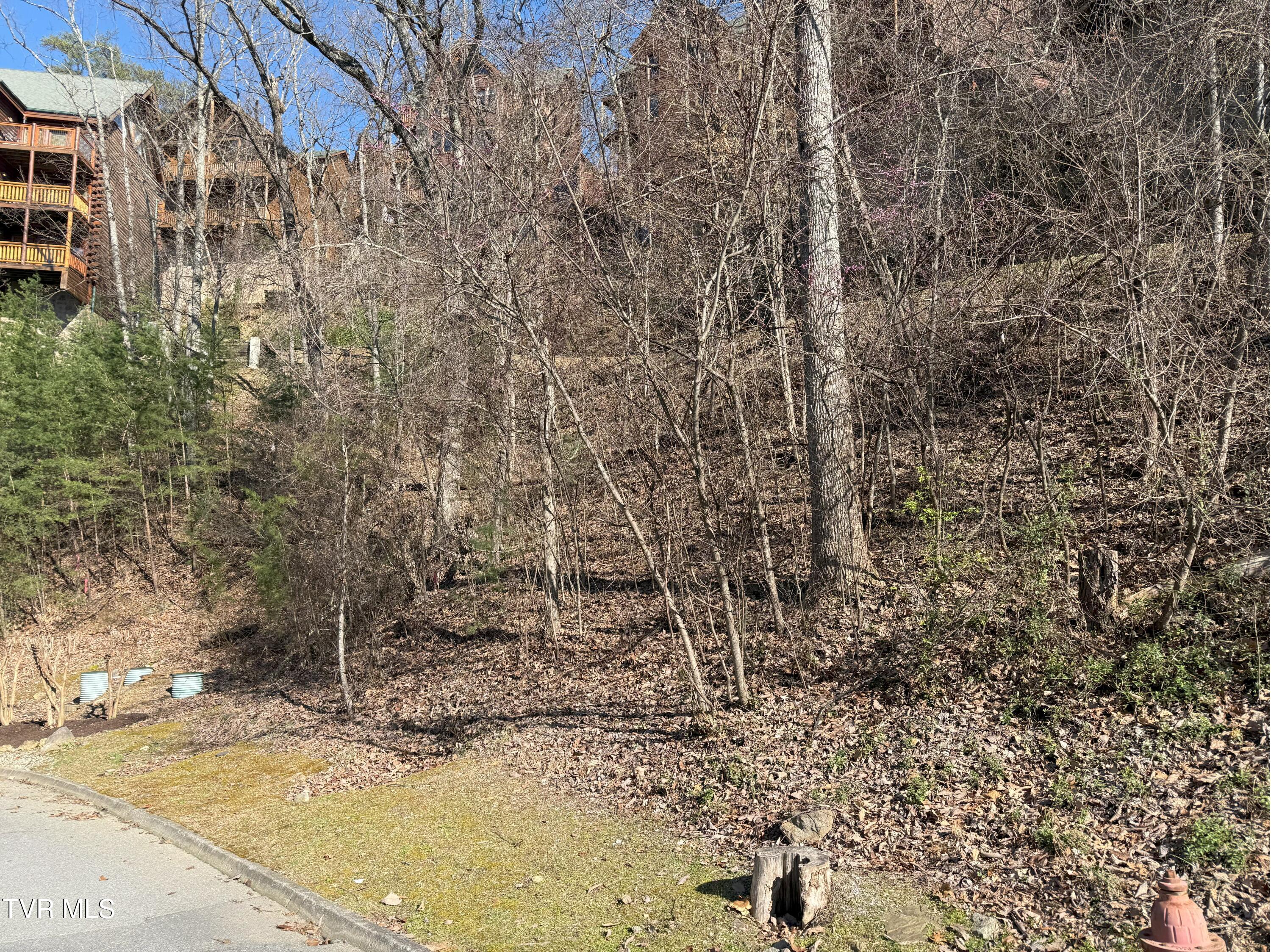 Lot 155r Black Bear Cub Way, Pigeon Forge, Tennessee image 2