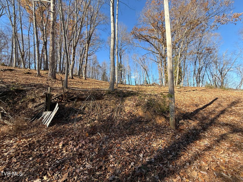 Photo of 0 Milligan Highway, Johnson City, TN 37601 (MLS # 9988805)