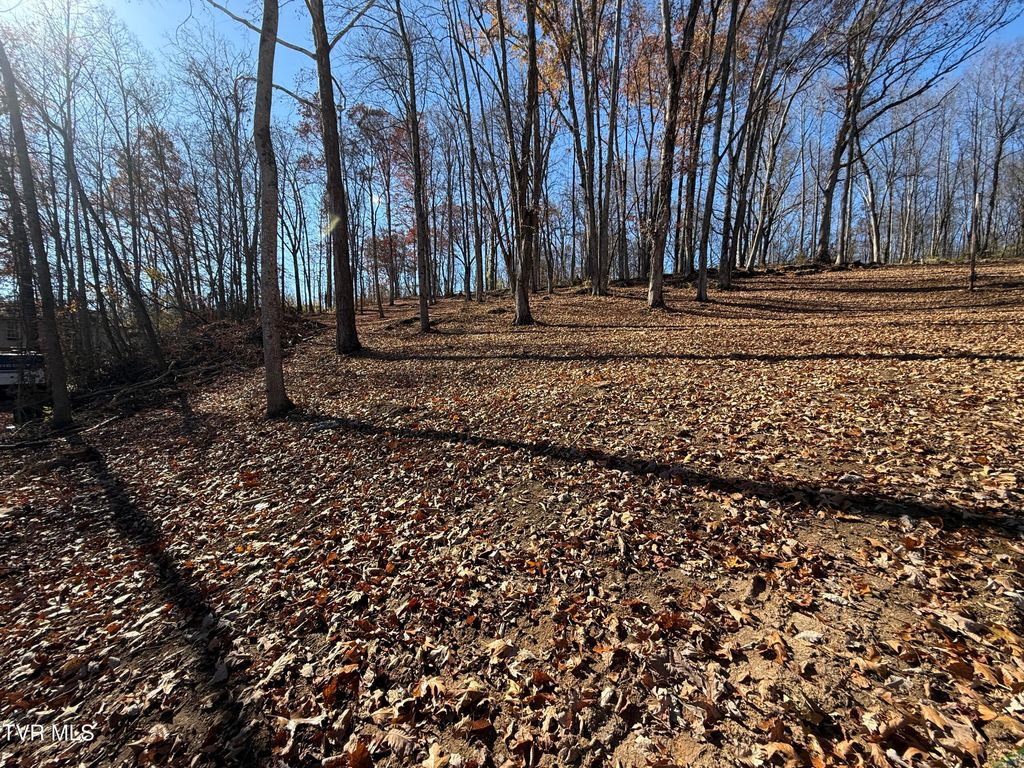 Photo of 0 Milligan Highway, Johnson City, TN 37601 (MLS # 9988805)