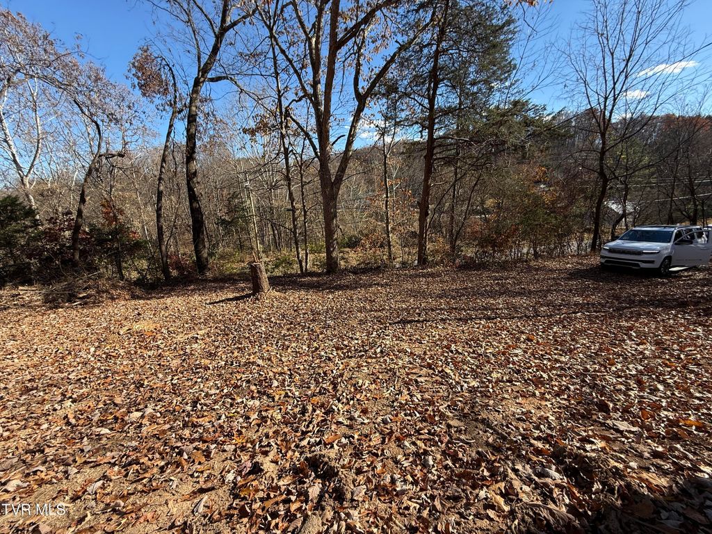 Photo of 0 Milligan Highway, Johnson City, TN 37601 (MLS # 9988805)
