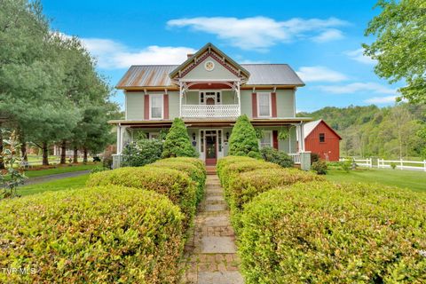 Photo of 8712 Highway 19-E, Roan Mountain, TN 37687 (MLS # 9990283)