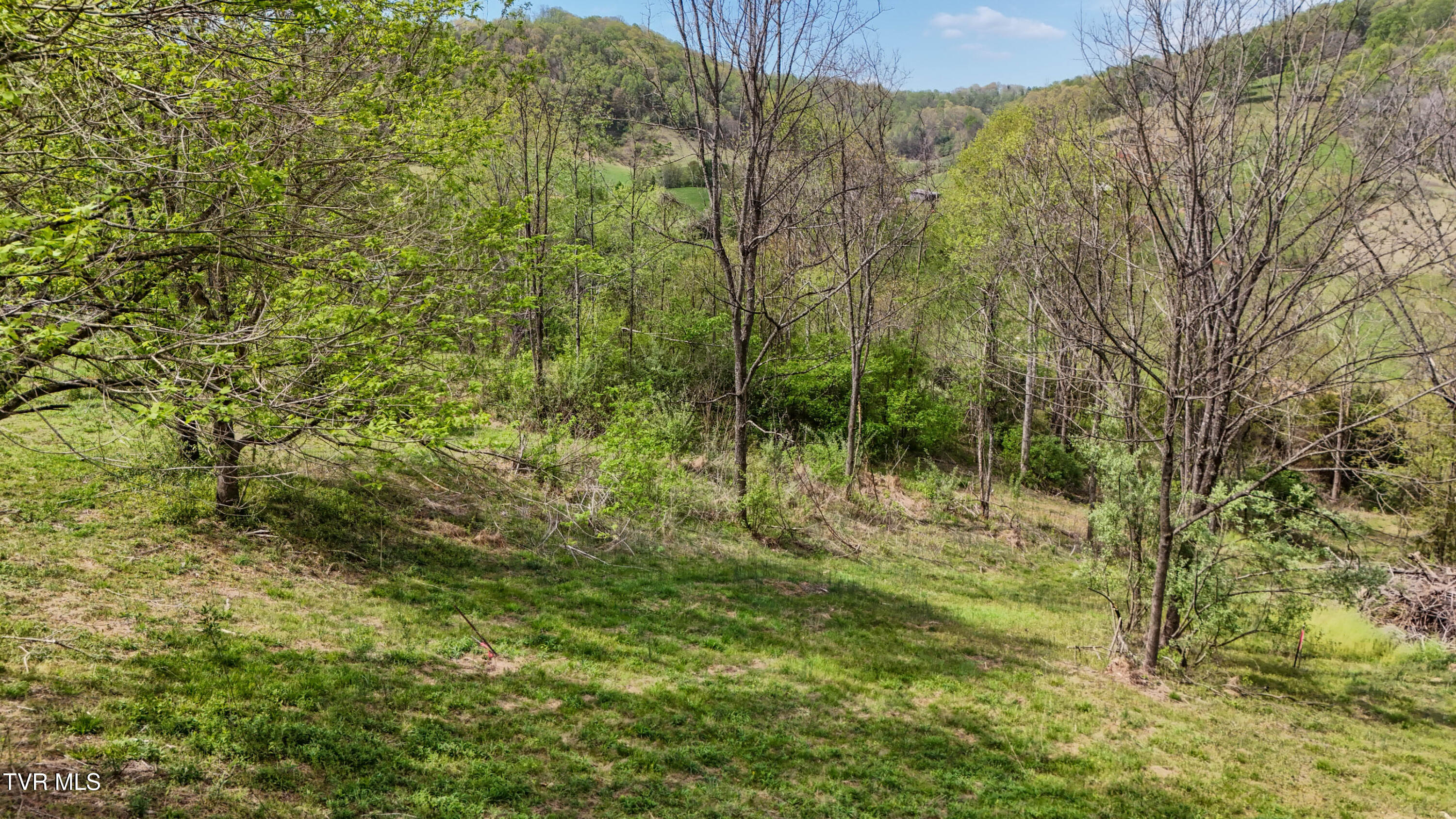 Mcnamara Circle, Bristol, Virginia image 8