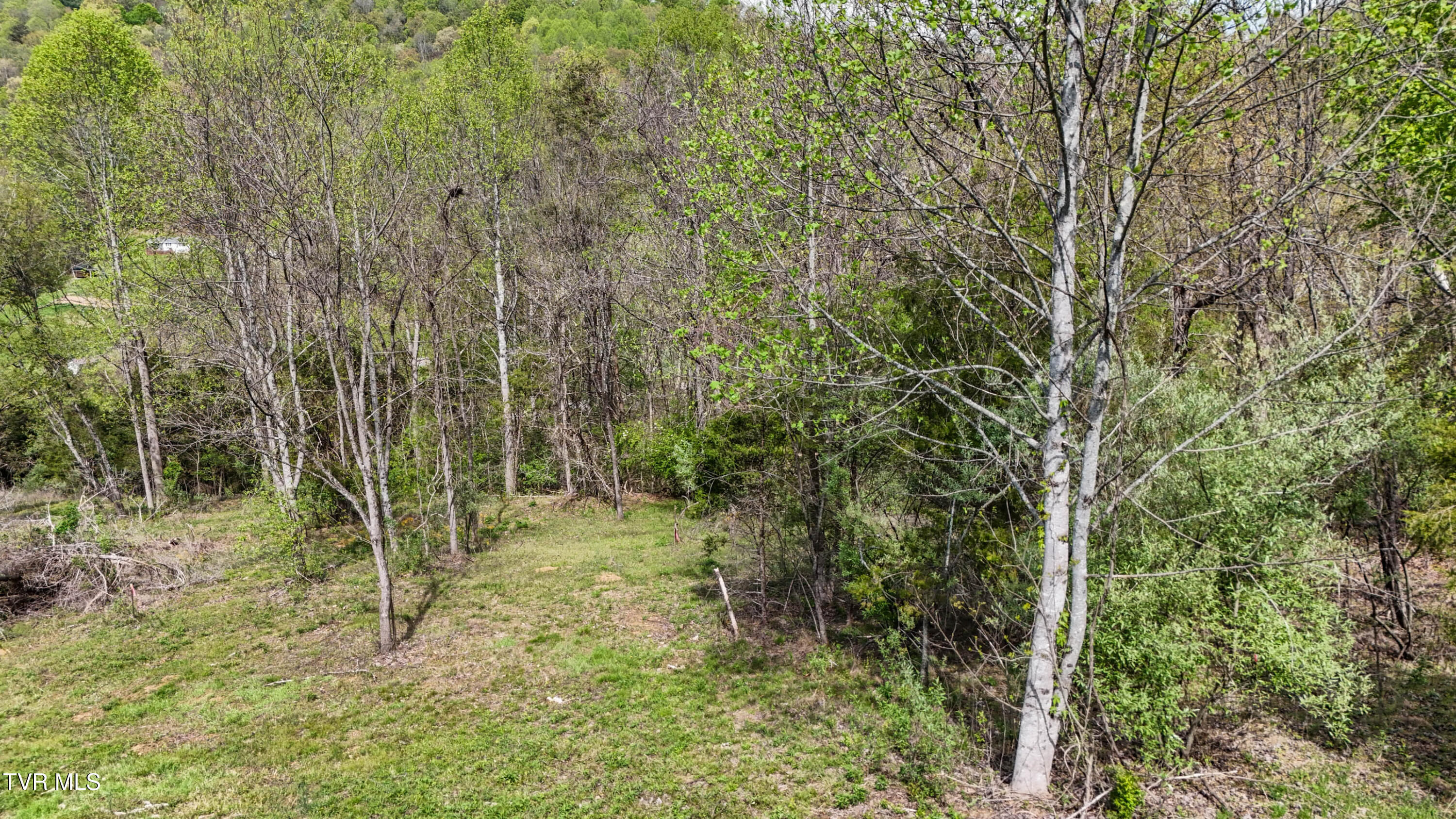 Mcnamara Circle, Bristol, Virginia image 14