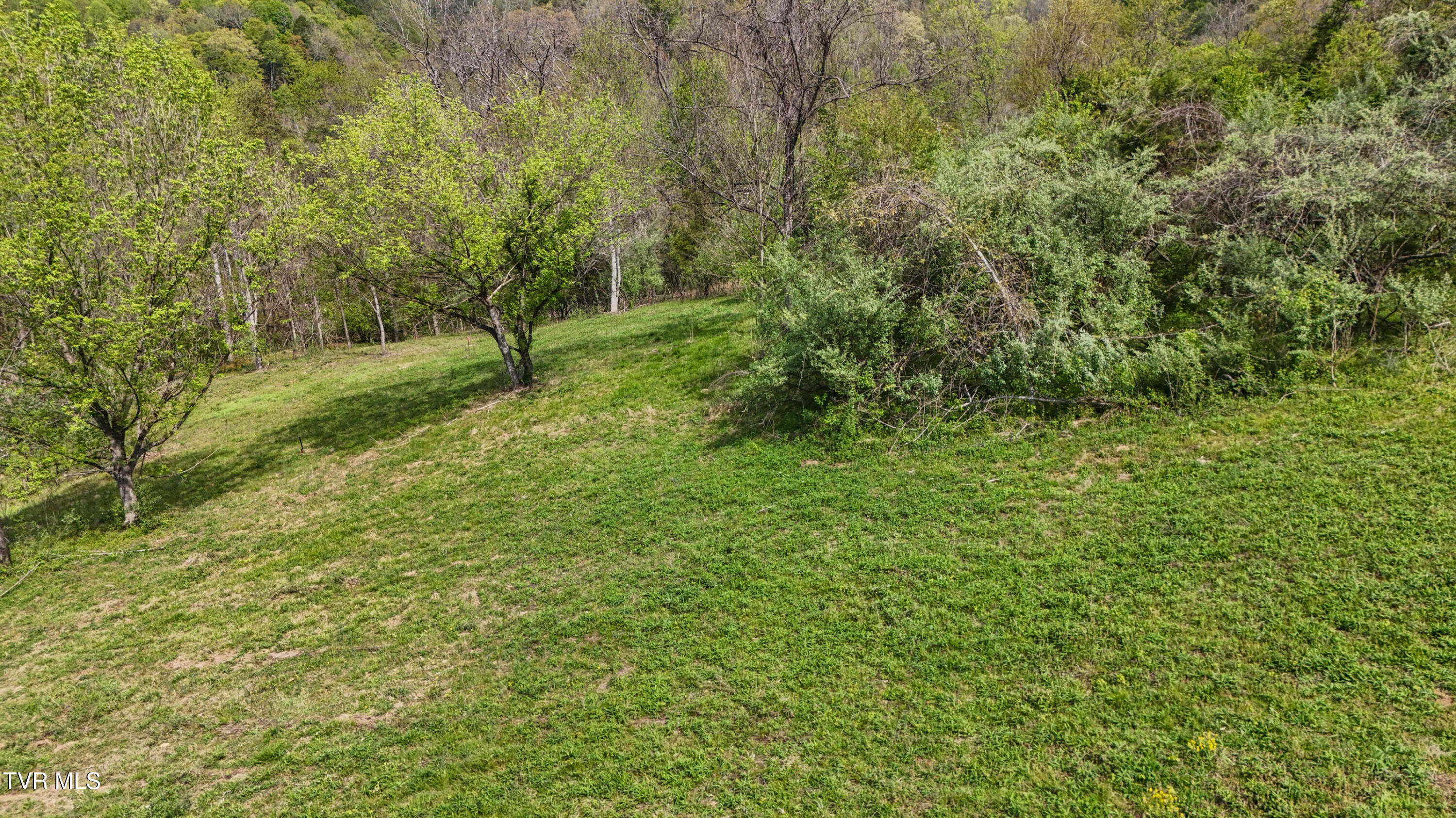 Mcnamara Circle, Bristol, Virginia image 4