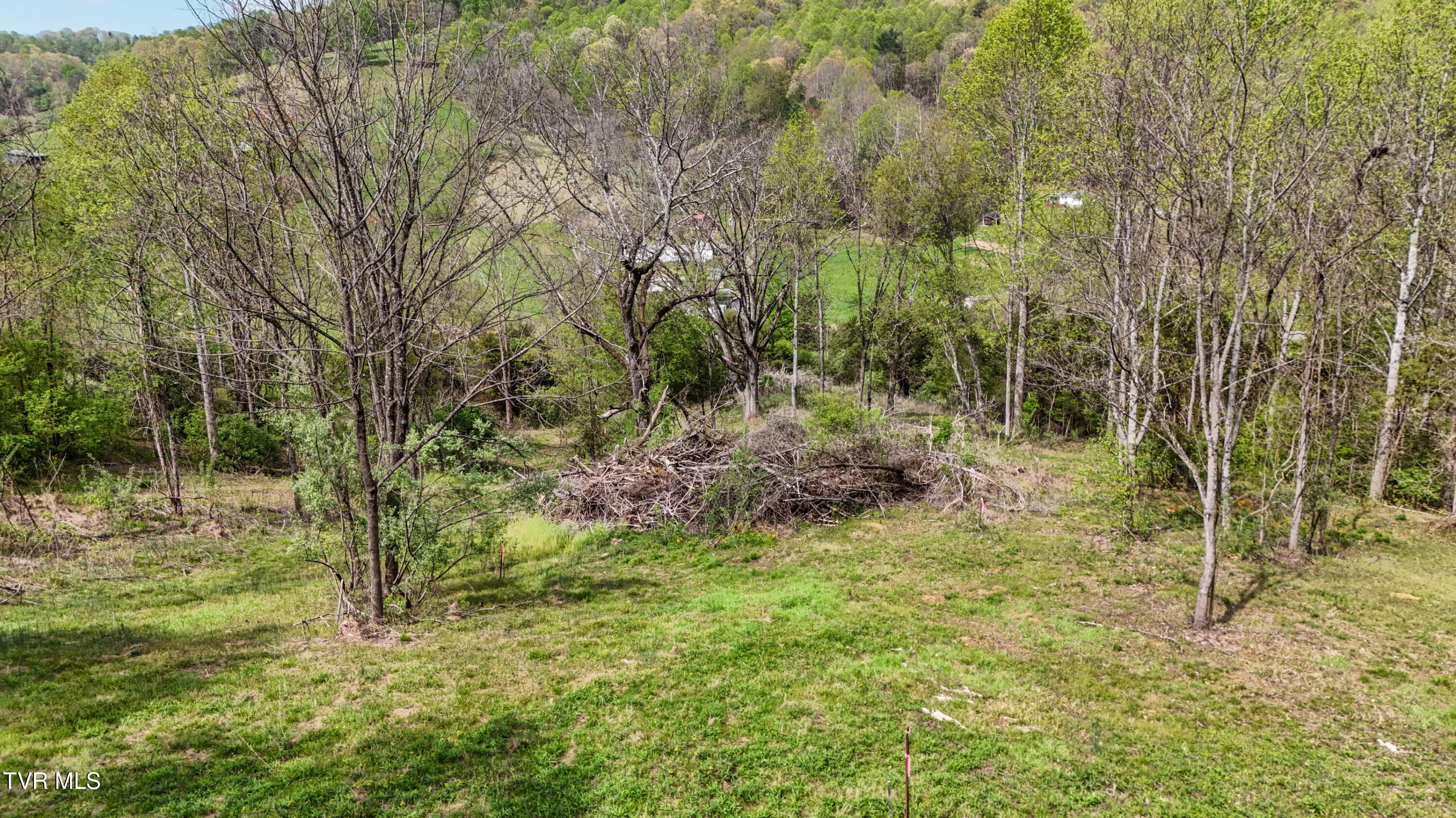 Mcnamara Circle, Bristol, Virginia image 7