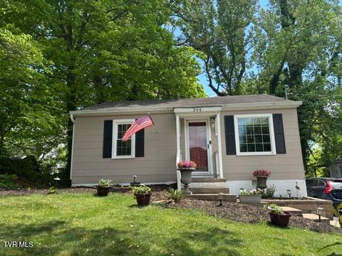 Photo of 344 Magnolia Drive, Bristol, VA 24201 (MLS # 9995281)