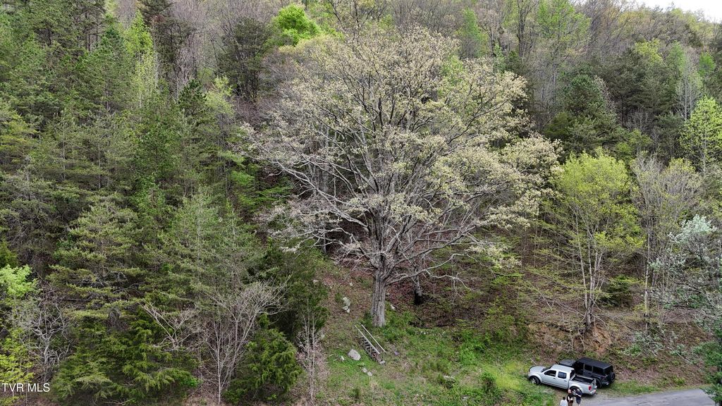 Photo of 1 Grassy Creek Road, Rogersville, TN 37857 (MLS # 9993791)