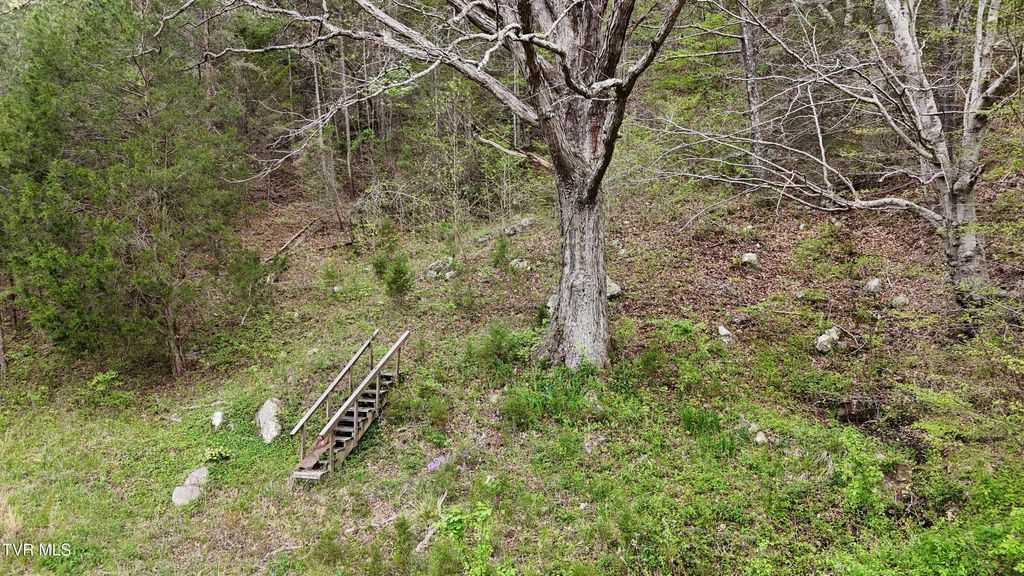 Photo of 1 Grassy Creek Road, Rogersville, TN 37857 (MLS # 9993791)