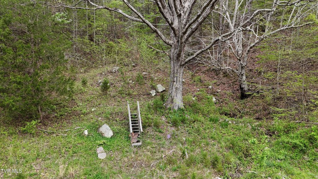 Photo of 1 Grassy Creek Road, Rogersville, TN 37857 (MLS # 9993791)