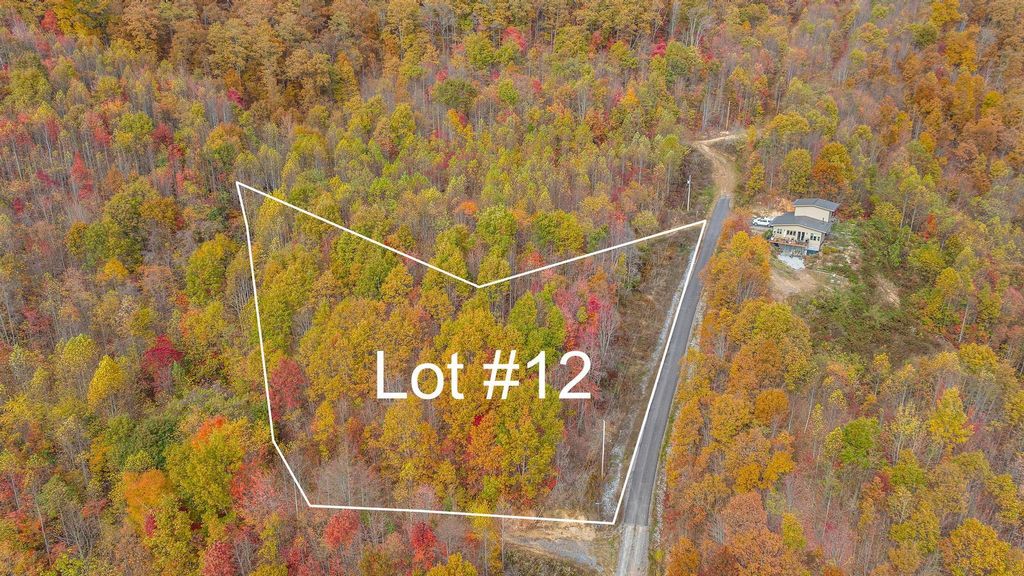 Photo of Tbd Majestic Lot 12 Drive, Duffield, VA 24244 (MLS # 9958691)