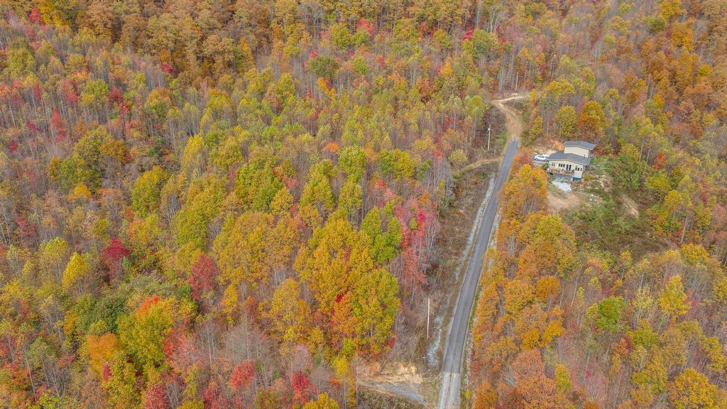 Photo of Tbd Majestic Lot 12 Drive, Duffield, VA 24244 (MLS # 9958691)